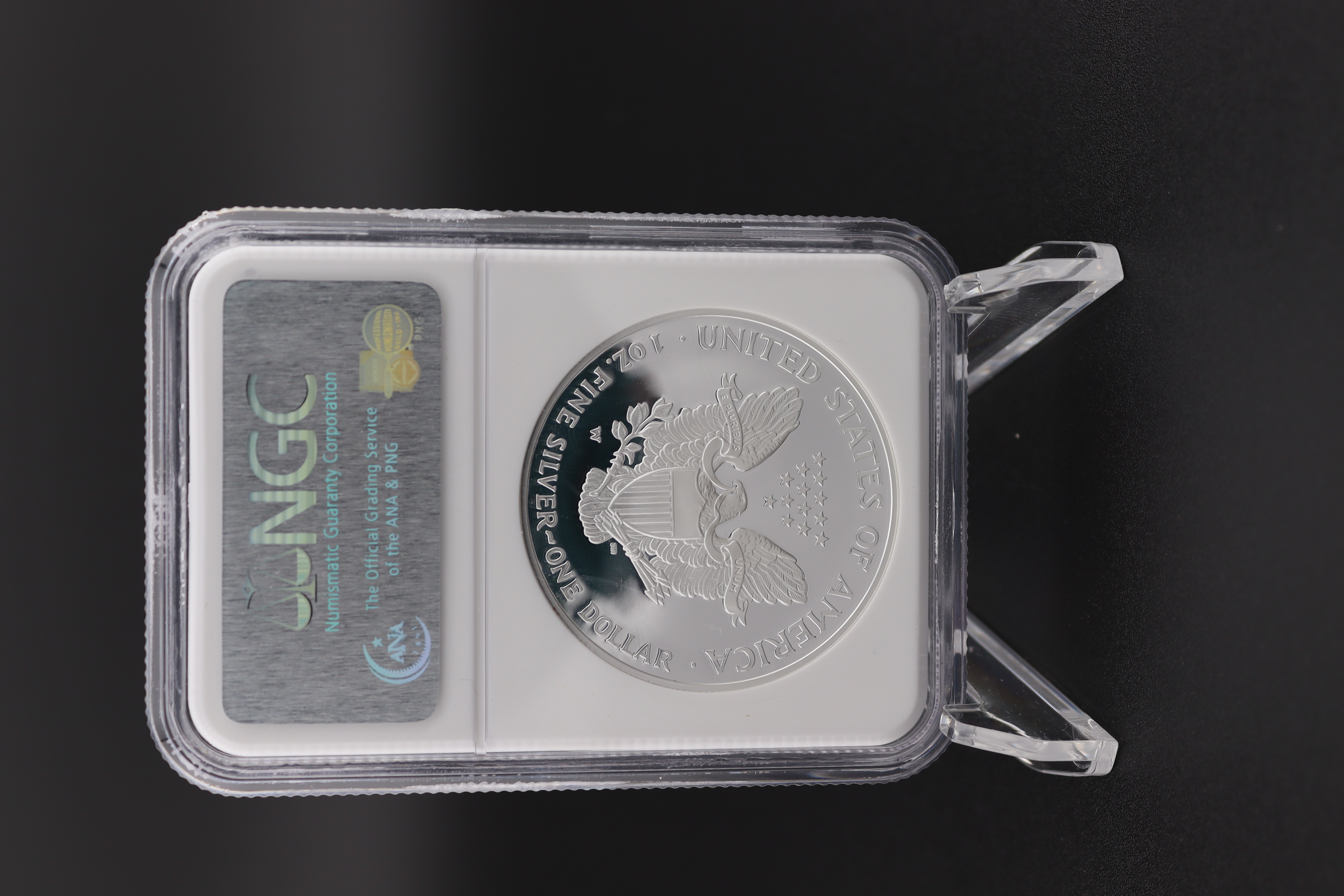 2006 W American Silver Eagle Coin