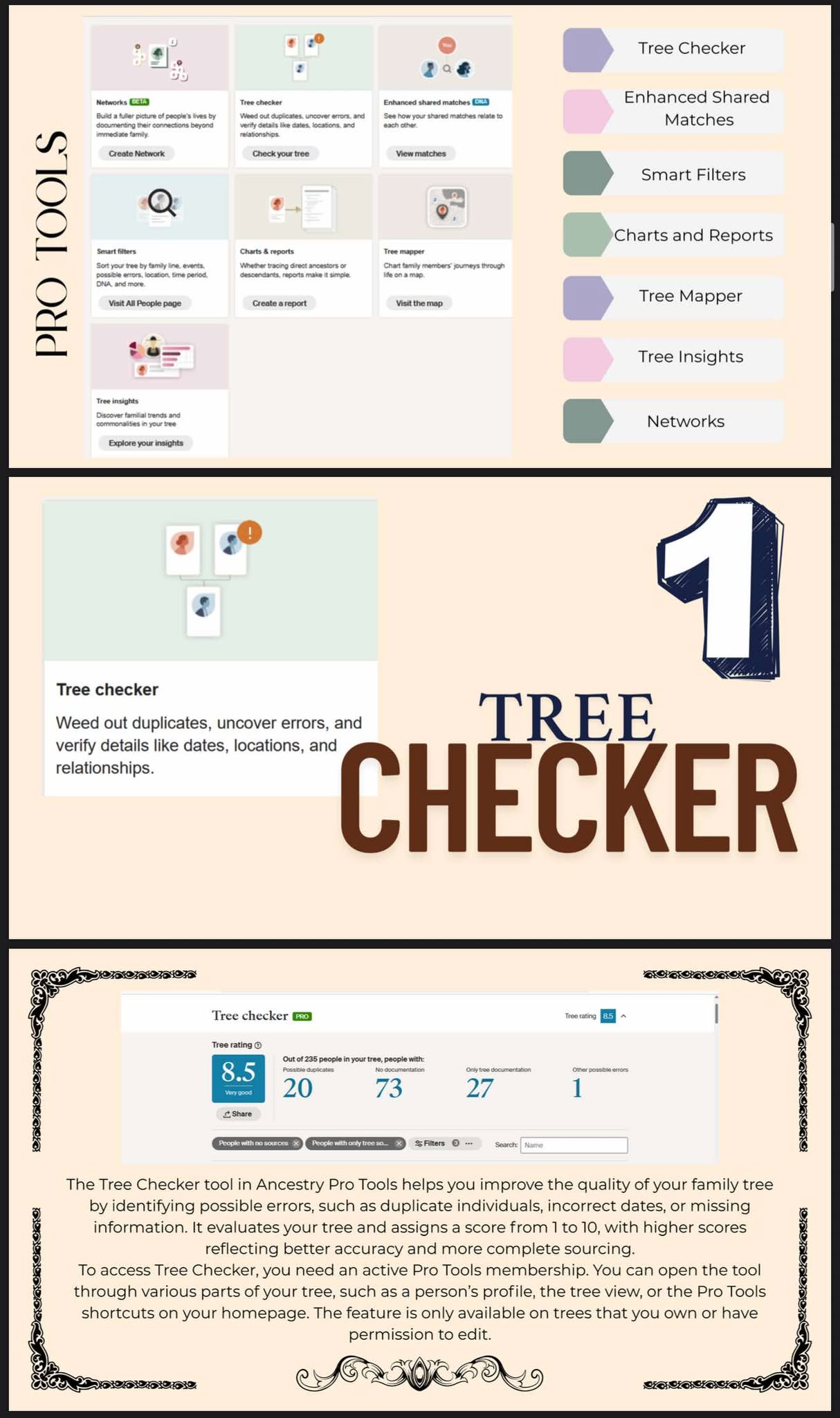 Guide to Navigating Ancestry DNA Pro Tools