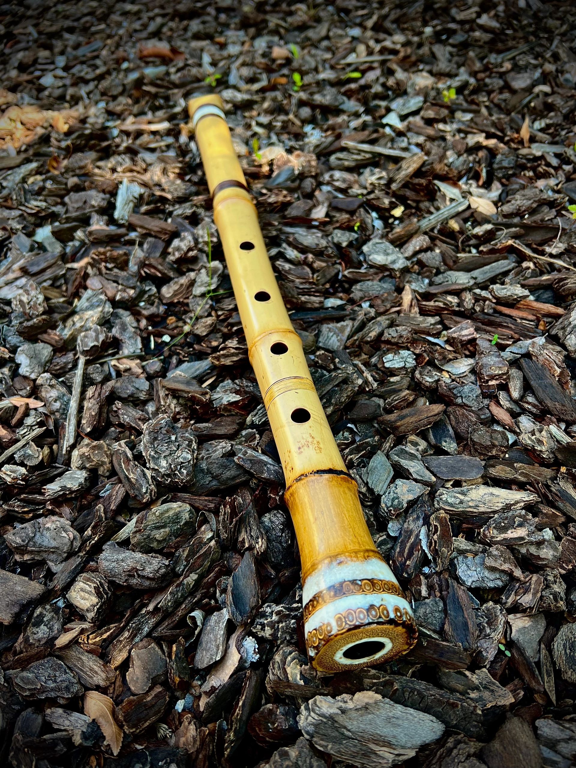 1.8 Jinashi Aged bamboo