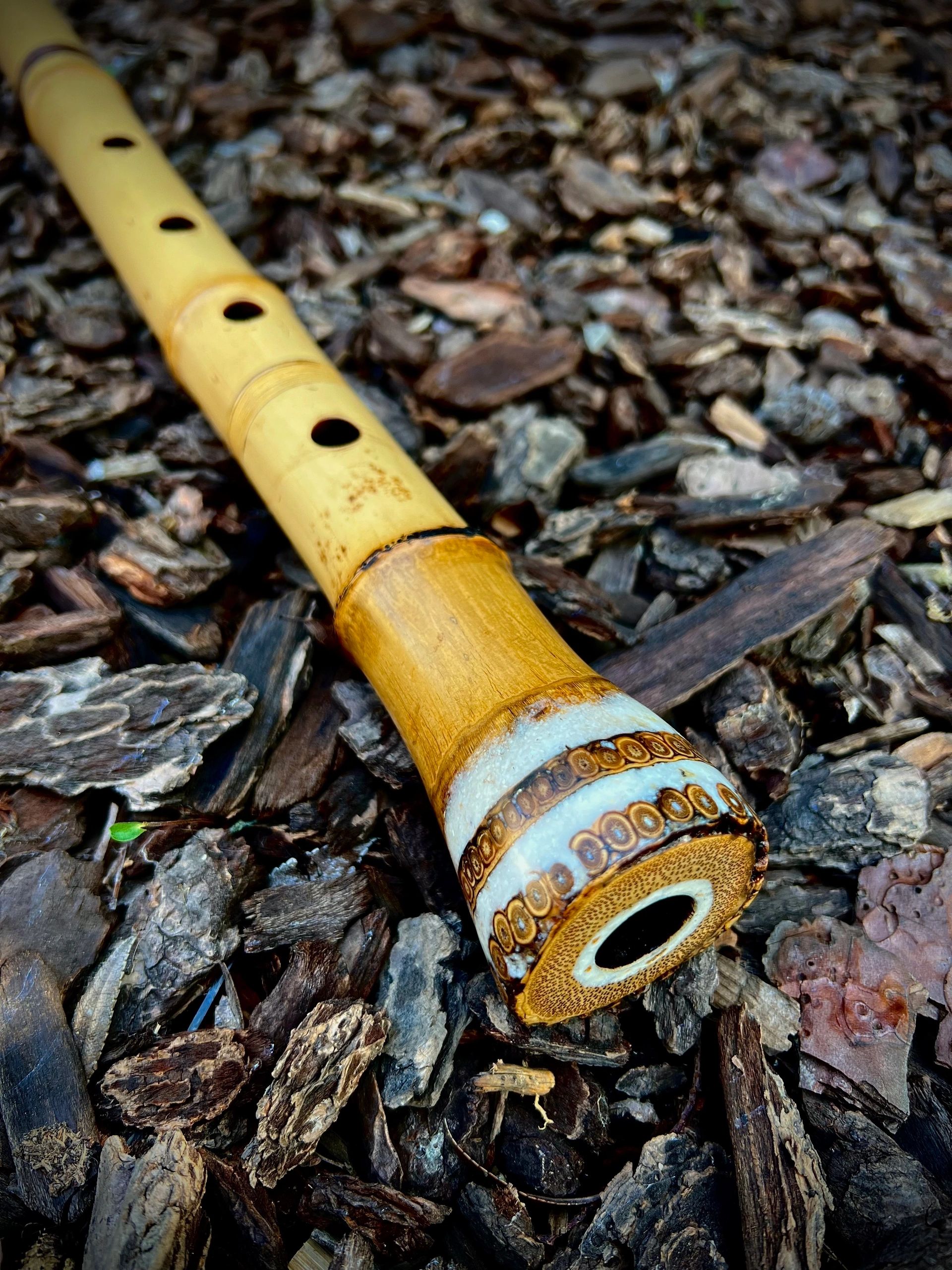 1.8 Jinashi Aged bamboo