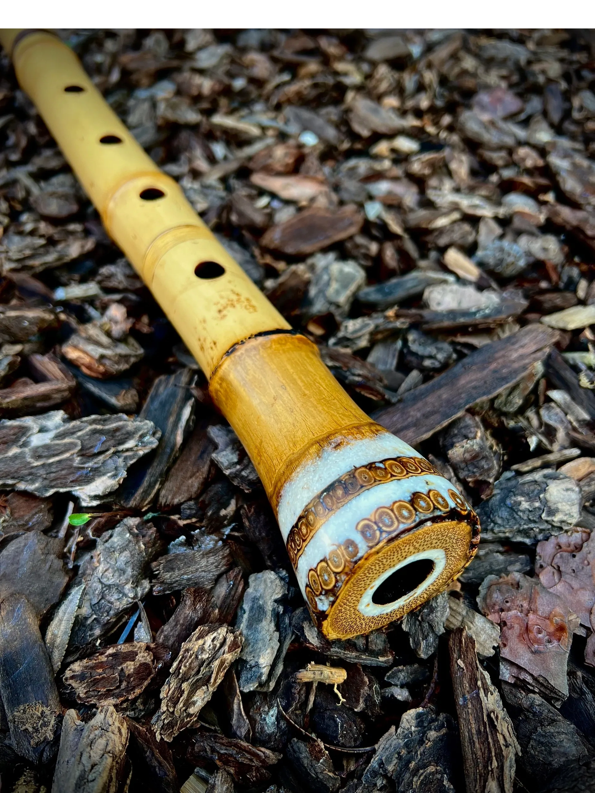 1.8 Jinashi Aged bamboo