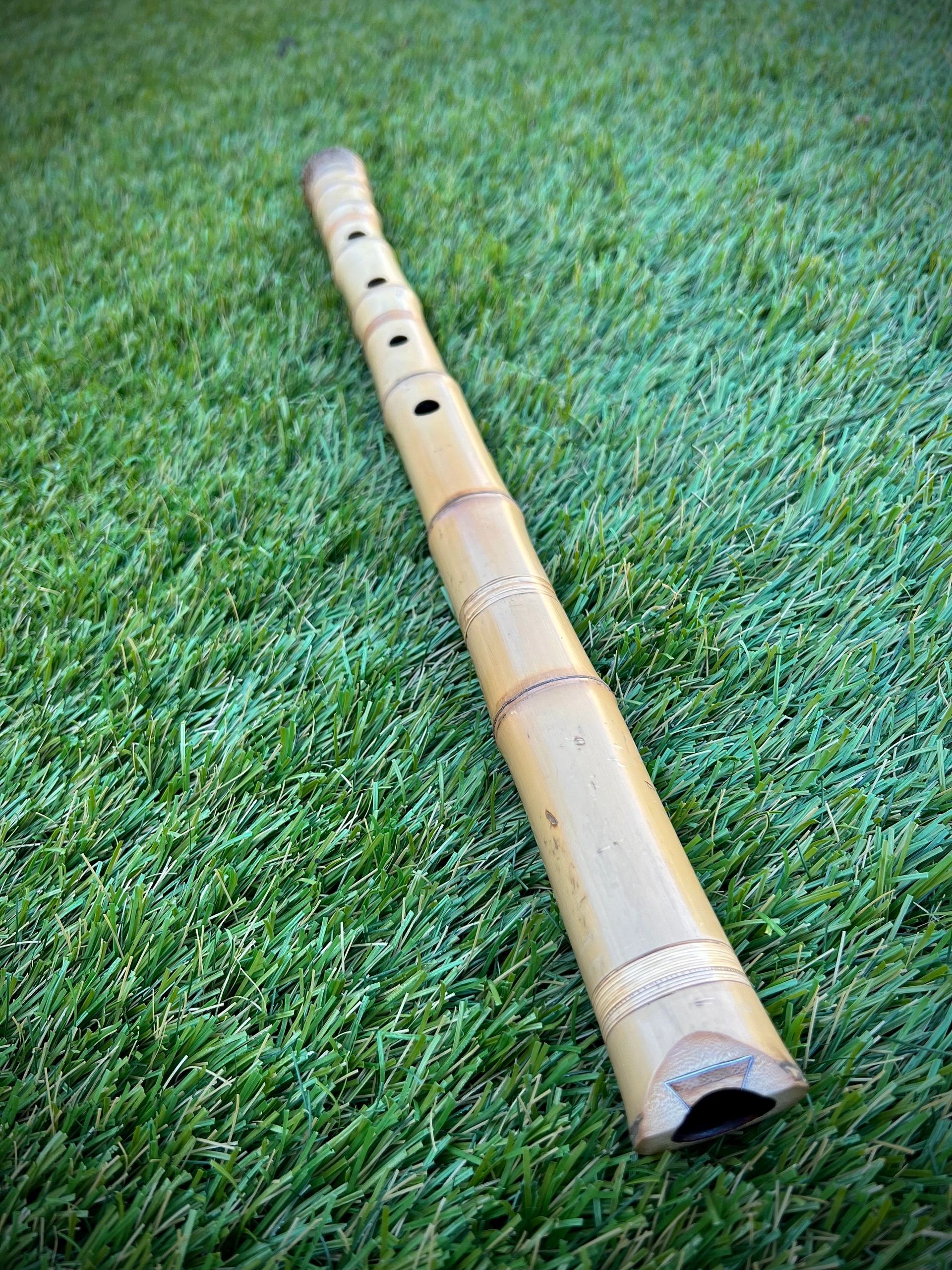 1.9 Jiari