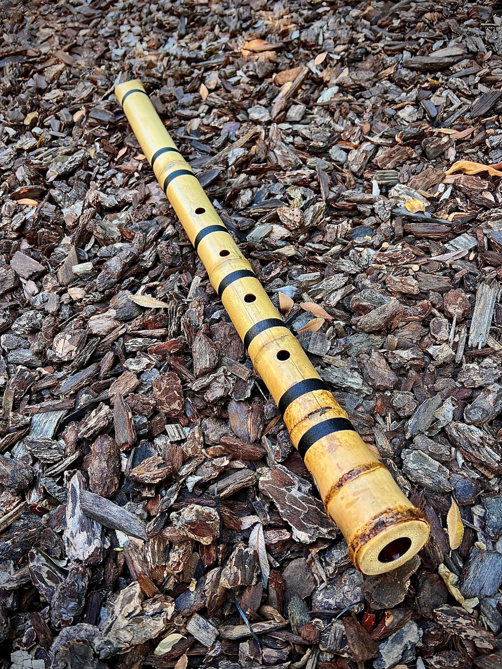 2.3 Jinashi Aged Bamboo