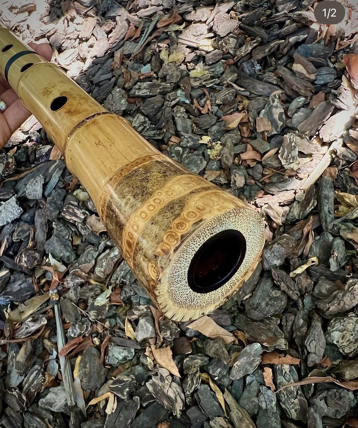 2.1 Jinashi