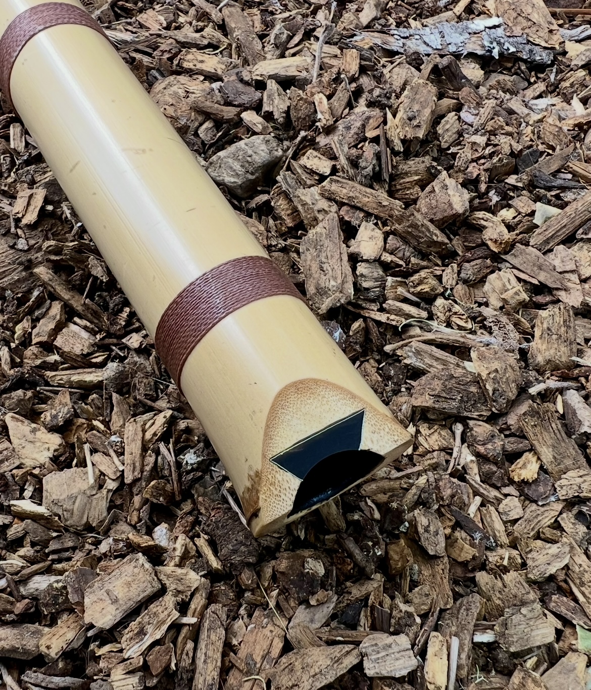 2.1 Jinashi Shakuhachi (35 year old Japanese Madake)
