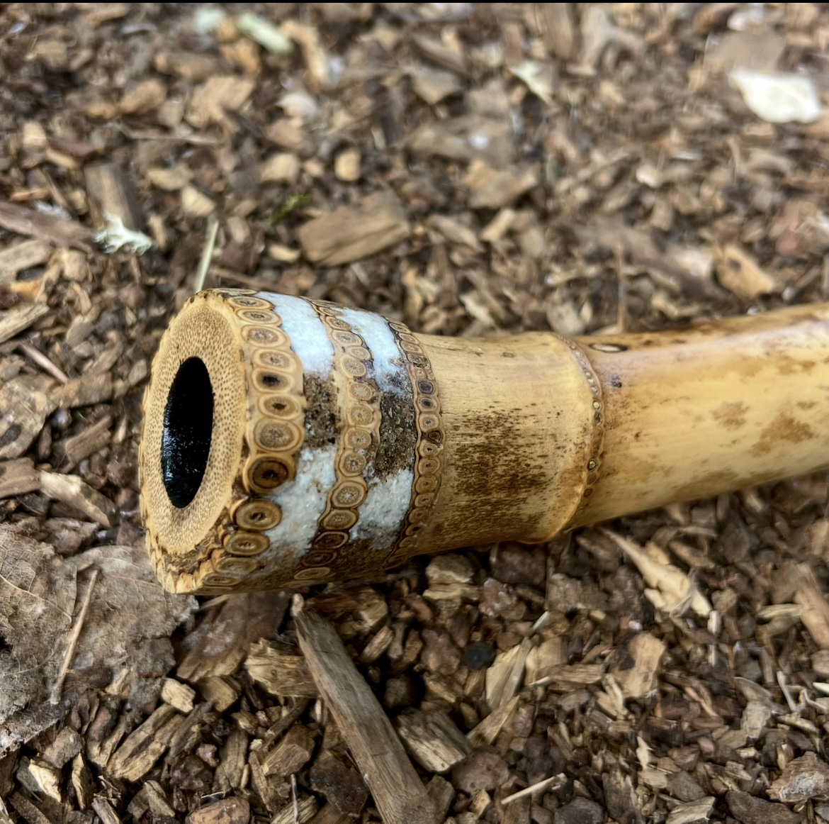 2.1 Jinashi Shakuhachi (35 year old Japanese Madake)