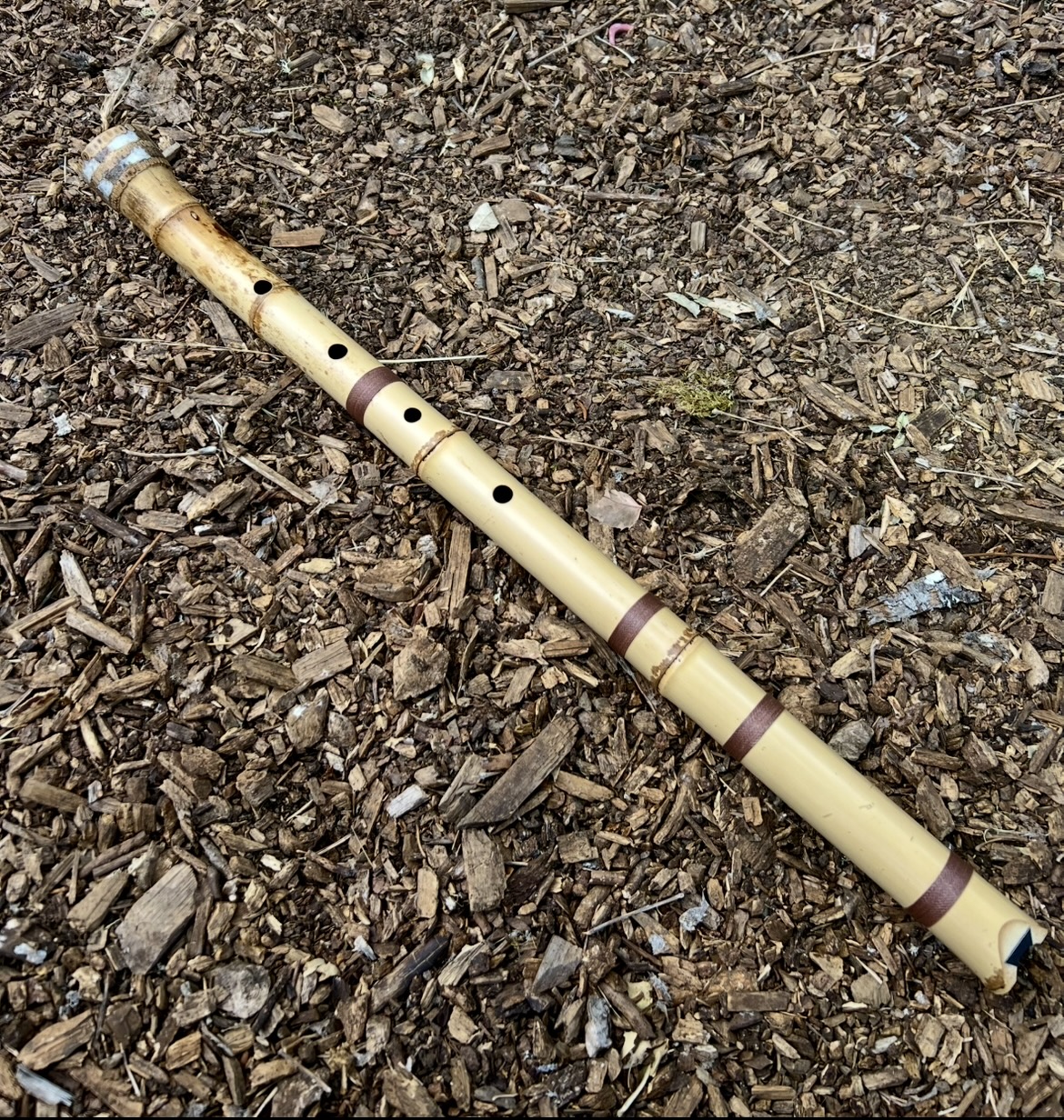2.1 Jinashi Shakuhachi (35 year old Japanese Madake)