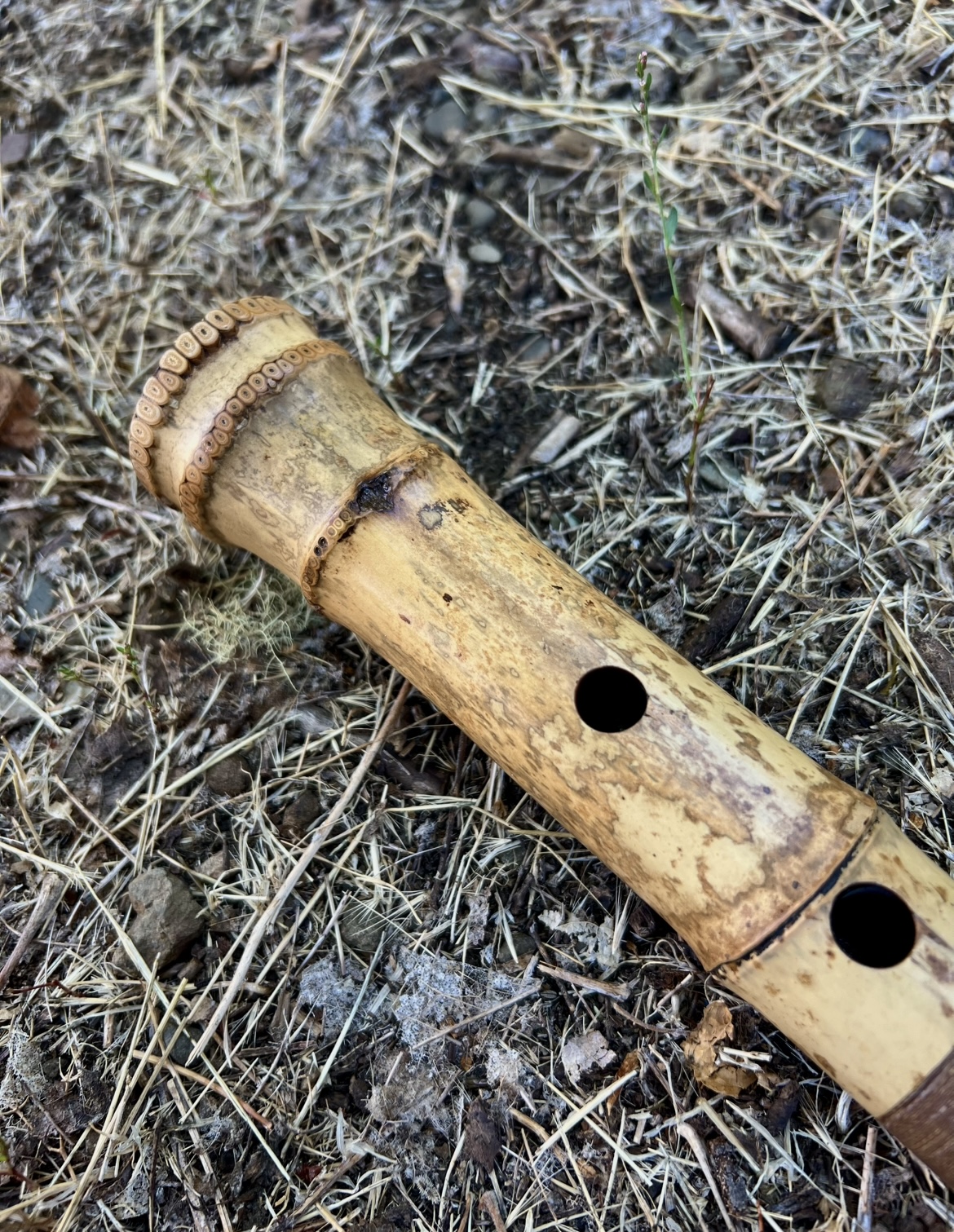 1.6 Jinashi Shakuhachi (35 year old Japanese Madake)