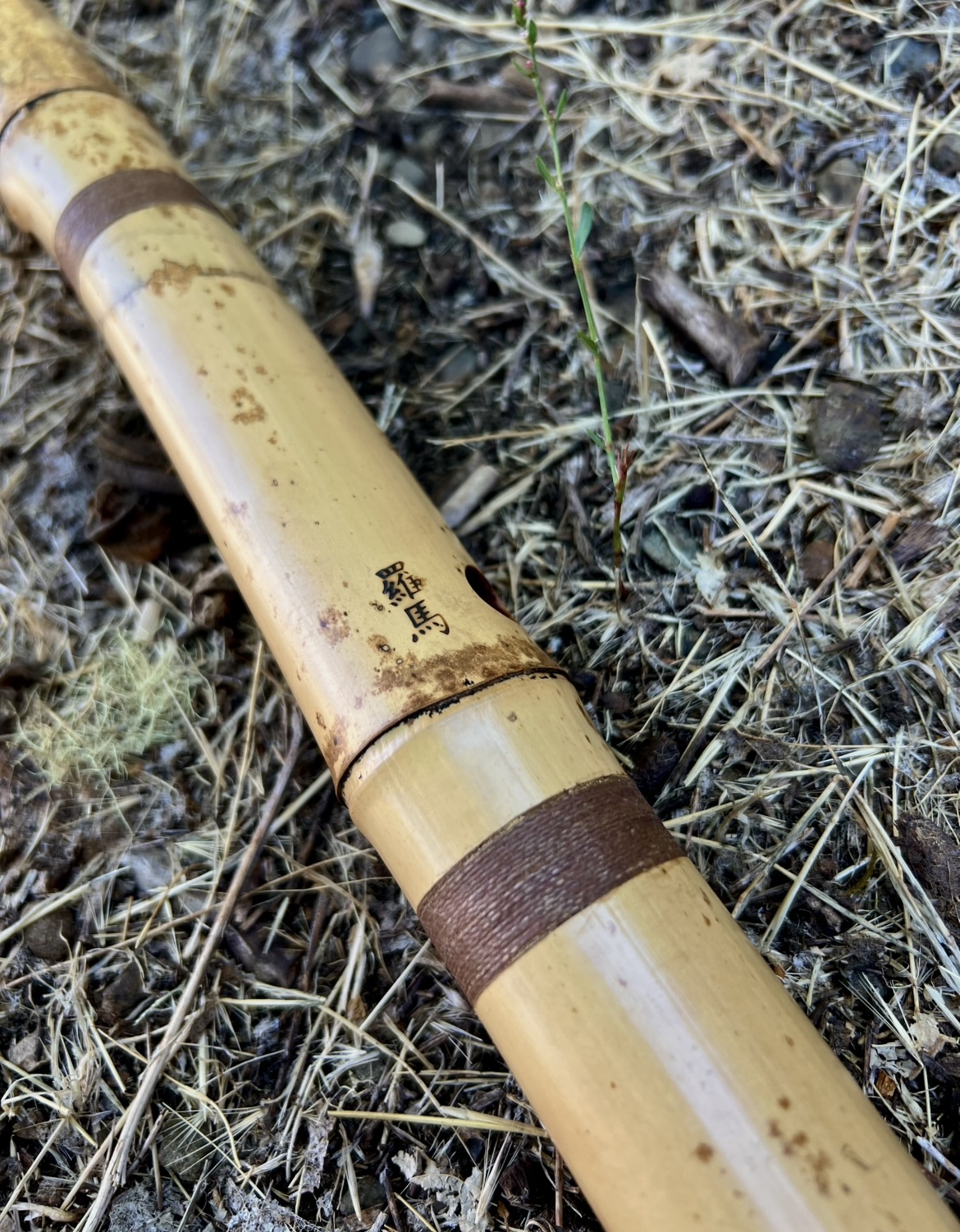 1.6 Jinashi Shakuhachi (35 year old Japanese Madake)