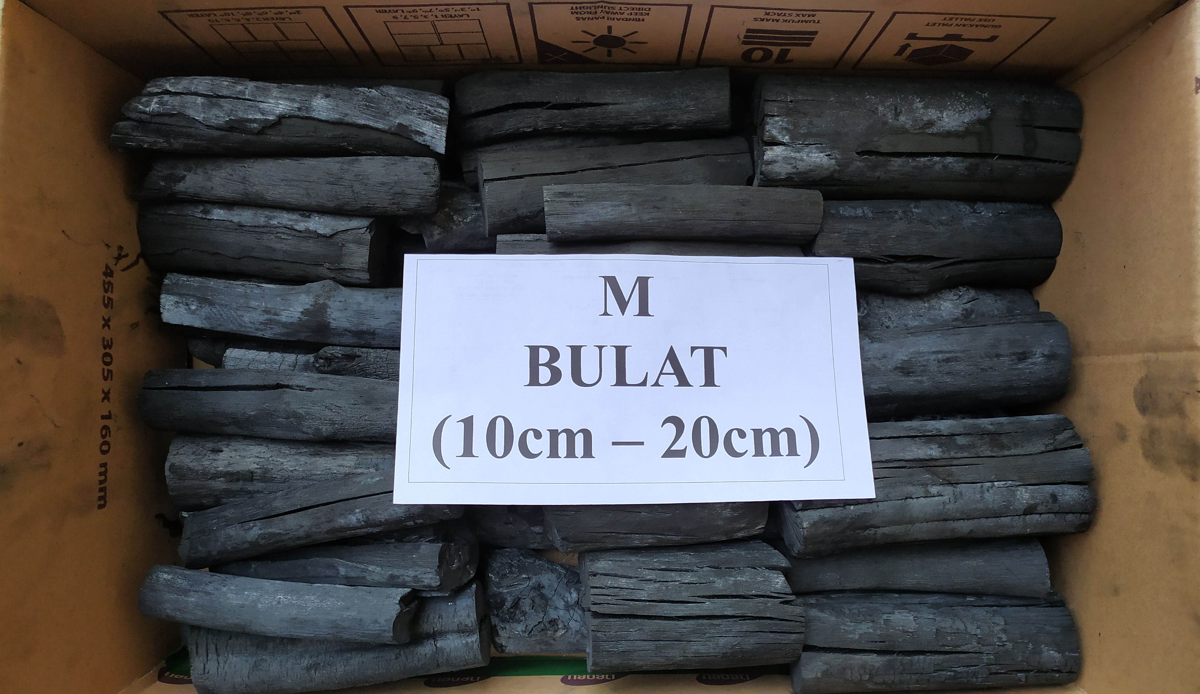 Binchotan White Ukuran M panjang 10-20cm