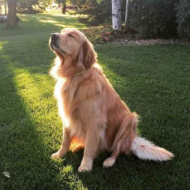 Weekly waste removal