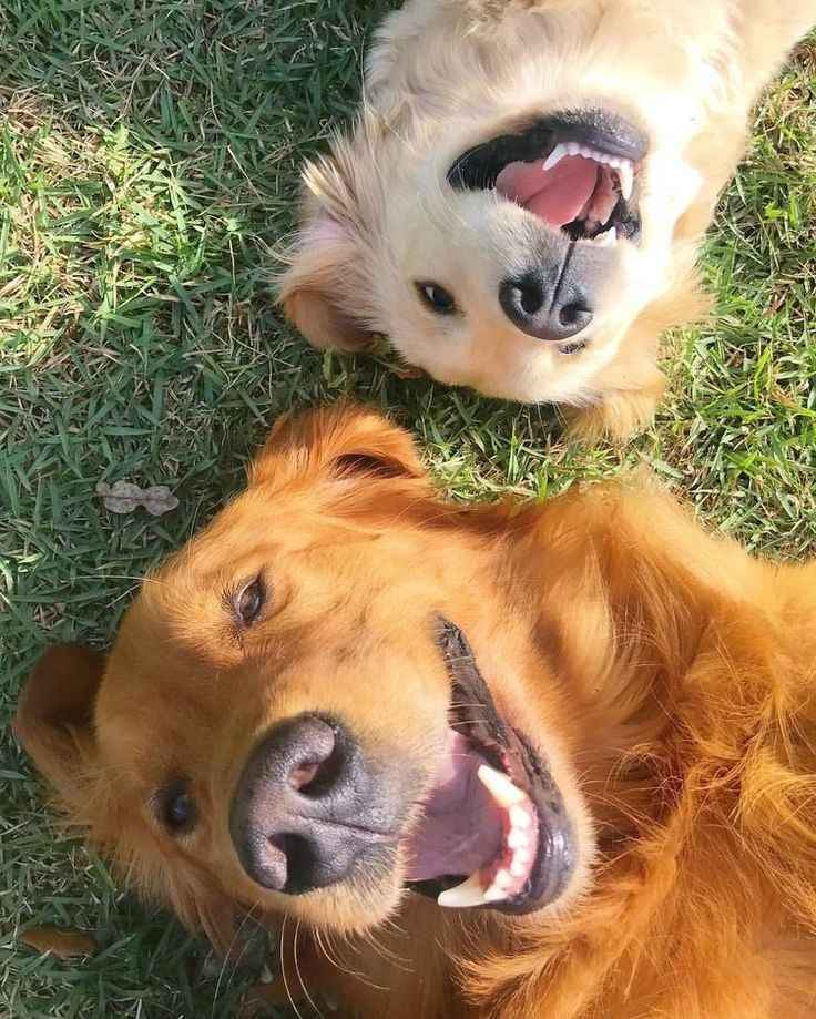 Bi-Weekly waste removal