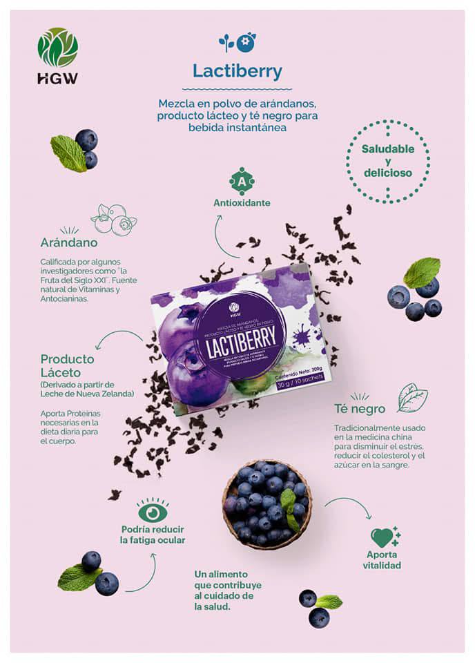 Lactiberry- Té negro con Arándanos - HGW