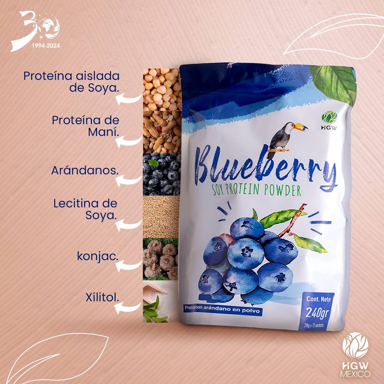Proteina de soja, cacahuete y arándanos en polvo - HGW