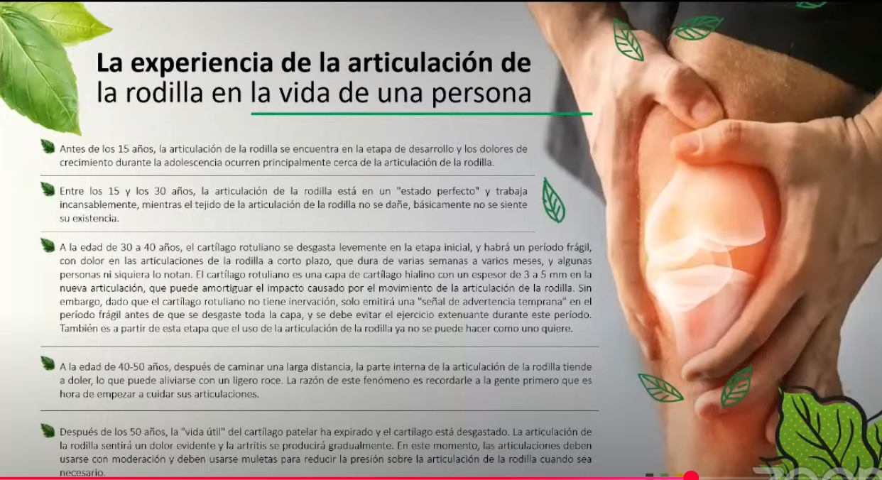 Protector Térmico de Rodilla con Turmalina HGW – Alivio Natural y Mejora Circulatoria