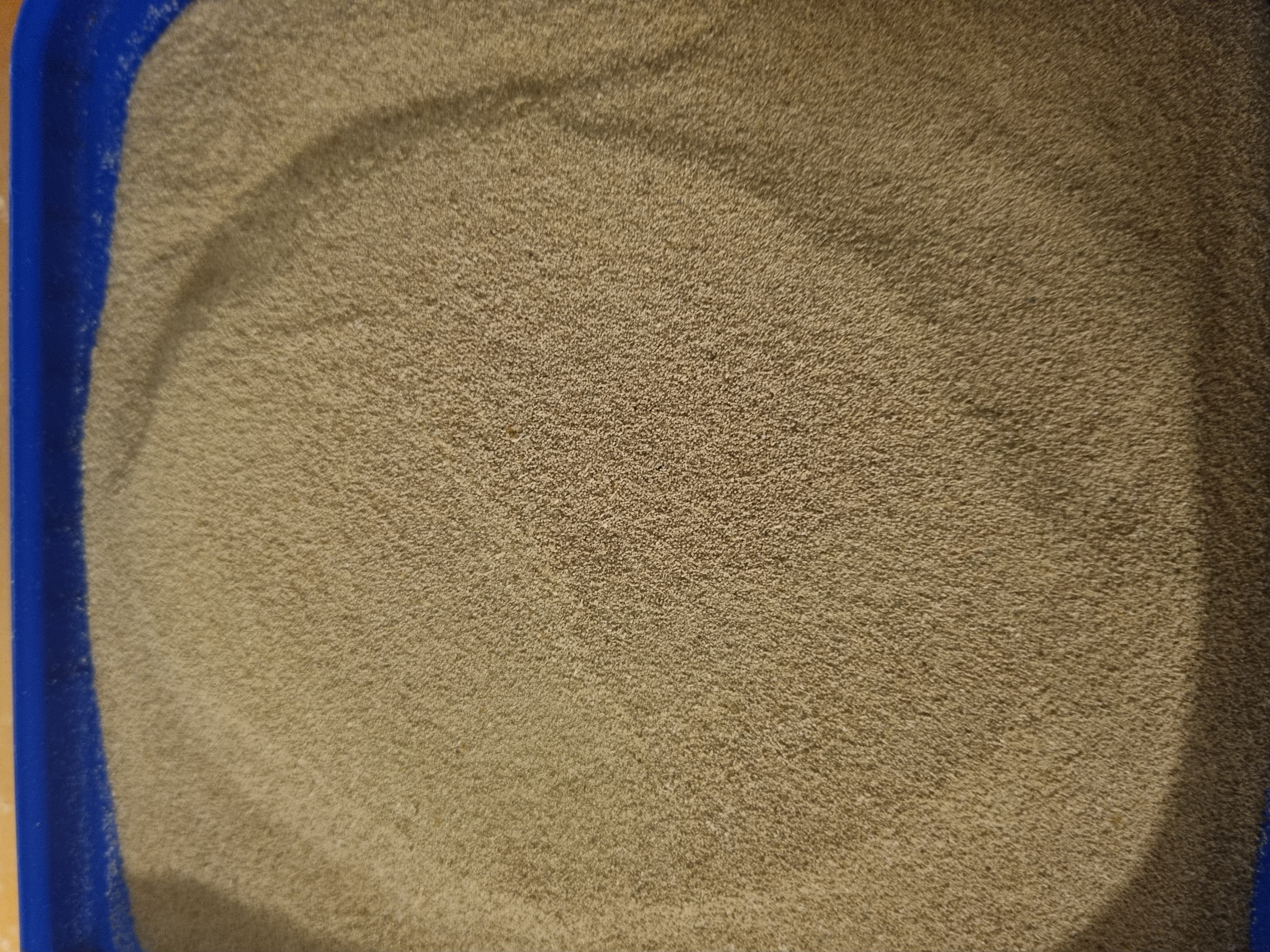 Mealworm Frass 