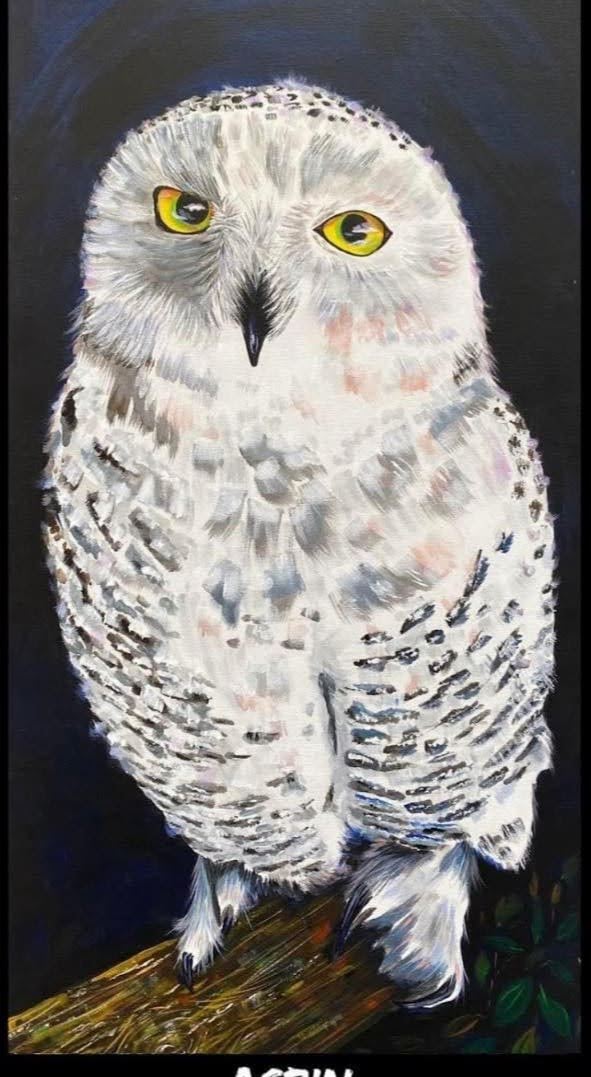 Aspin, Snow owl 