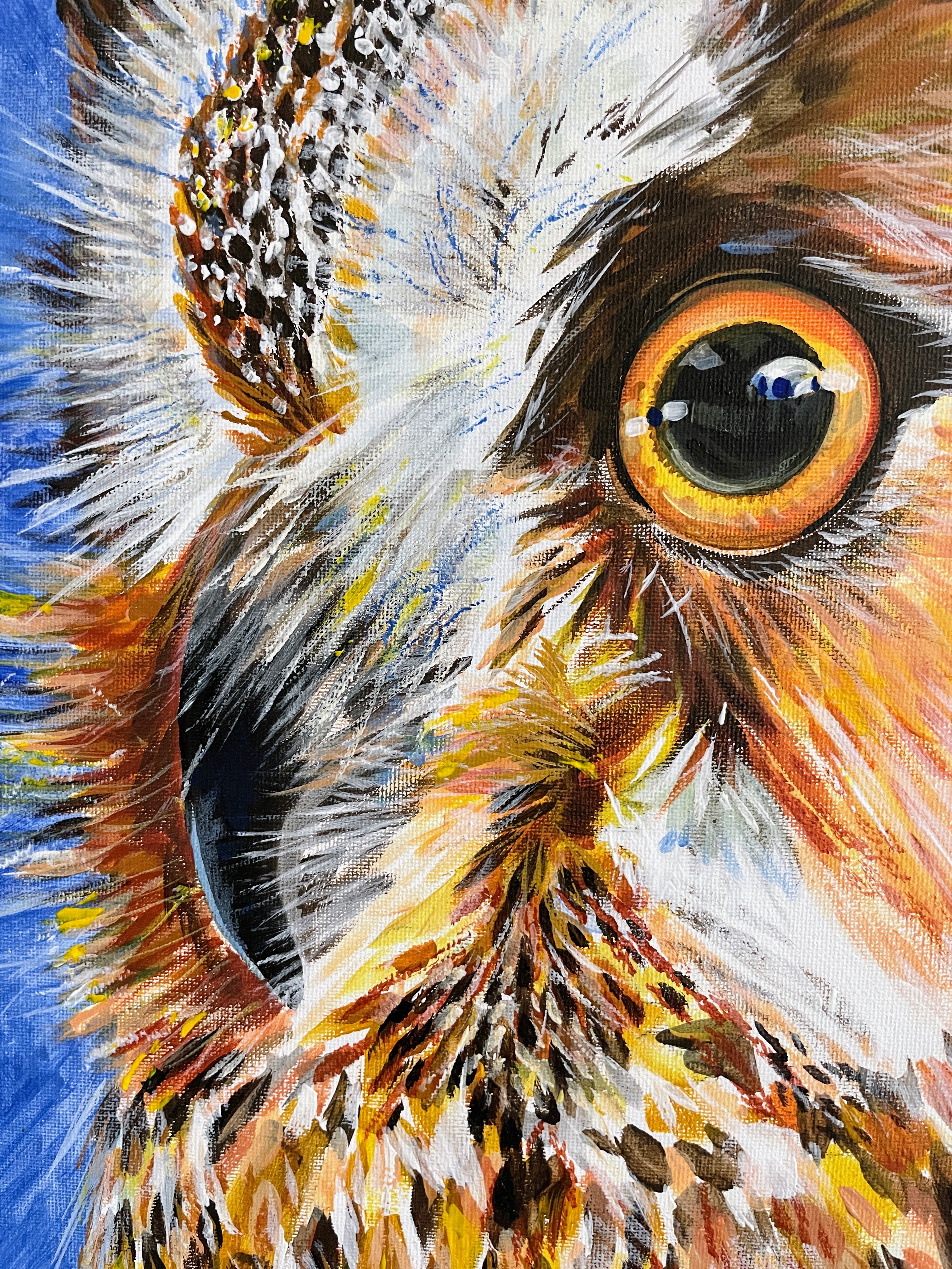 Rio Marley, long eared owl