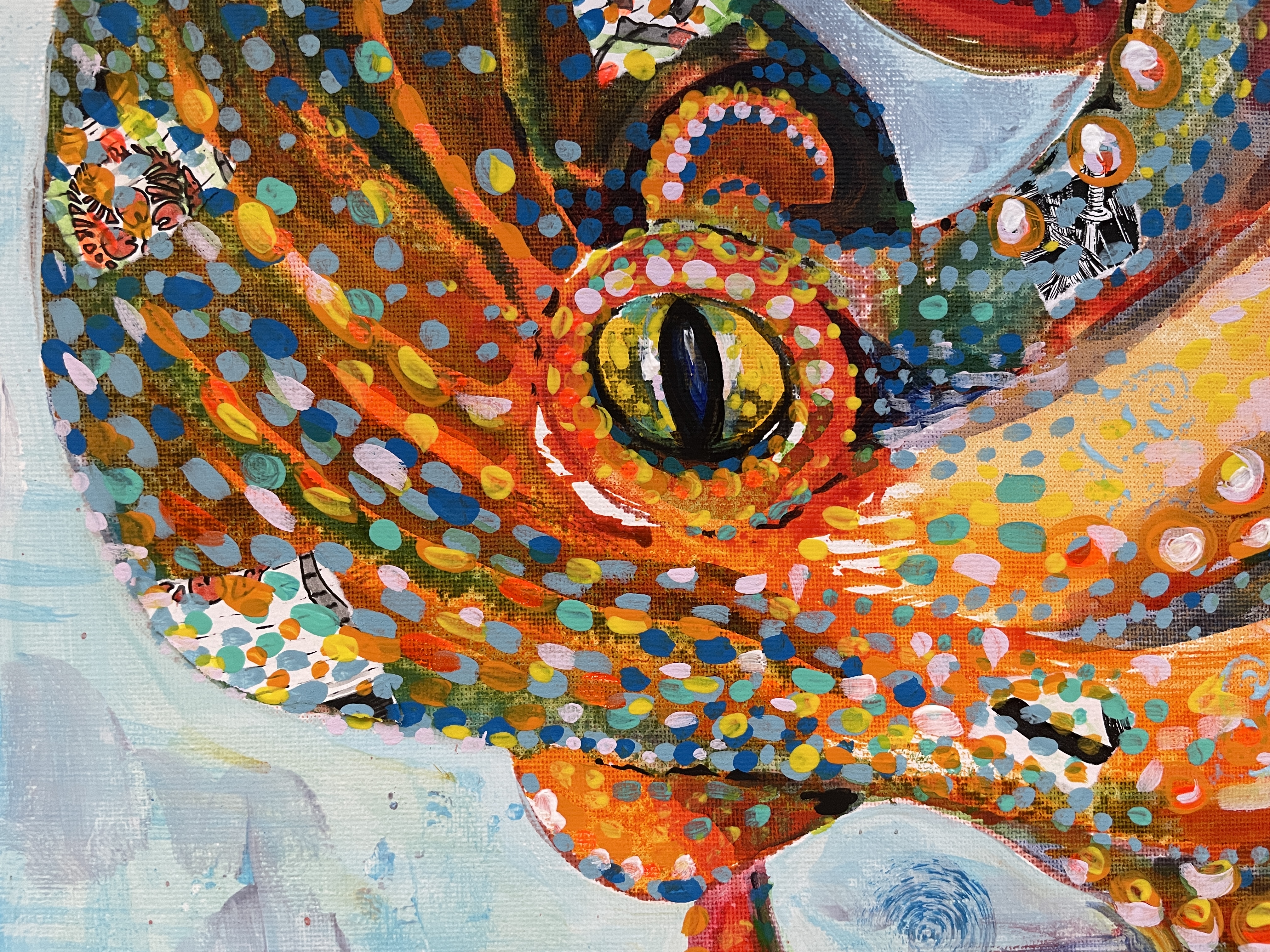 Octopus Brights Collection