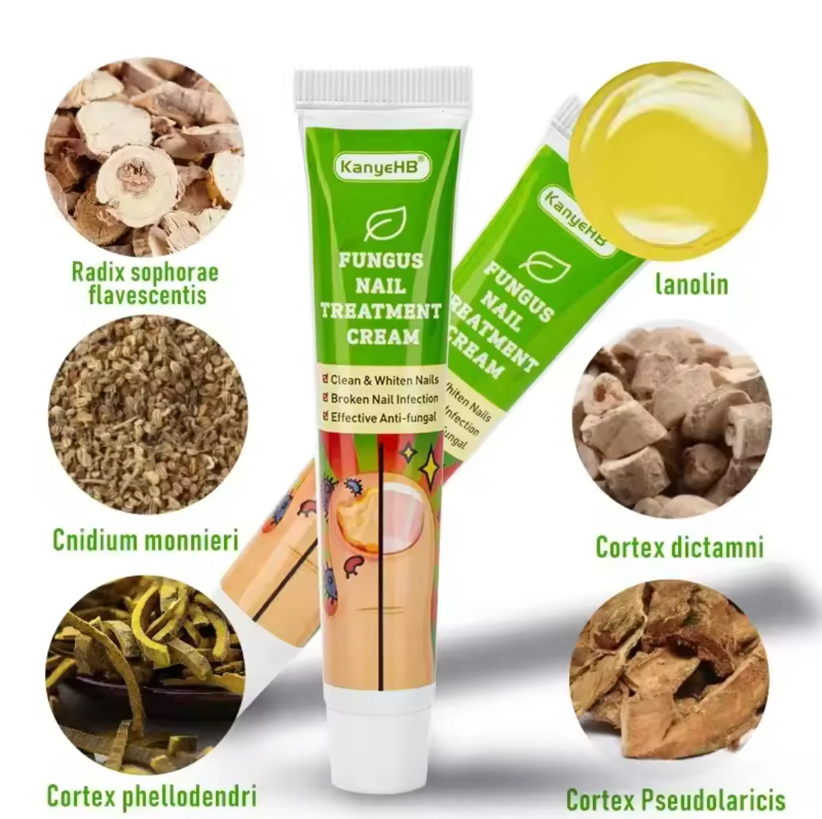 Fungus Nail Treatment Cream Effective nail fungal infection solution