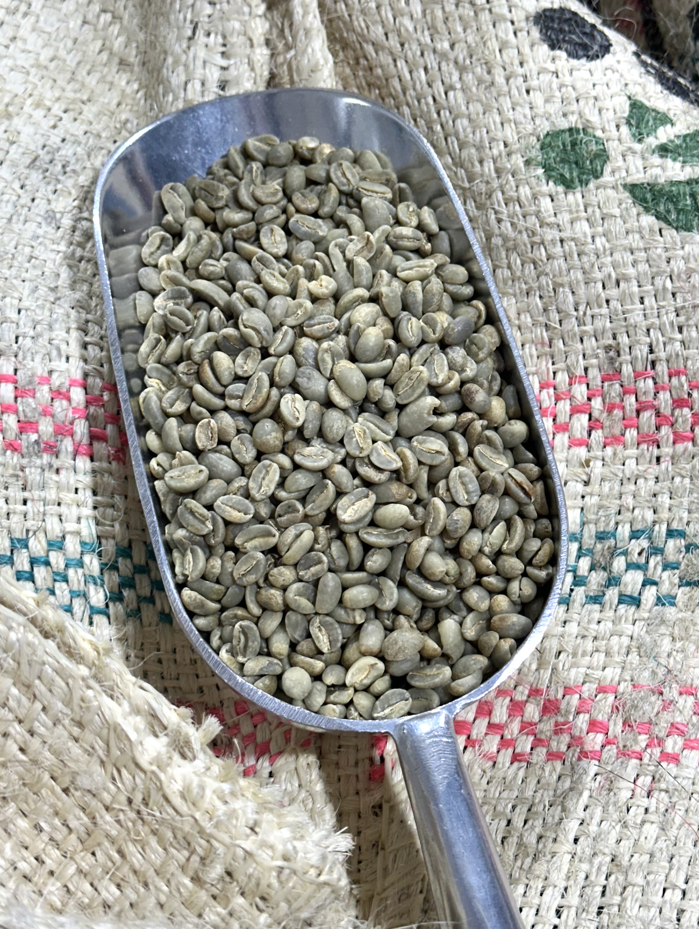 🌱☕Interested in Green Coffee?