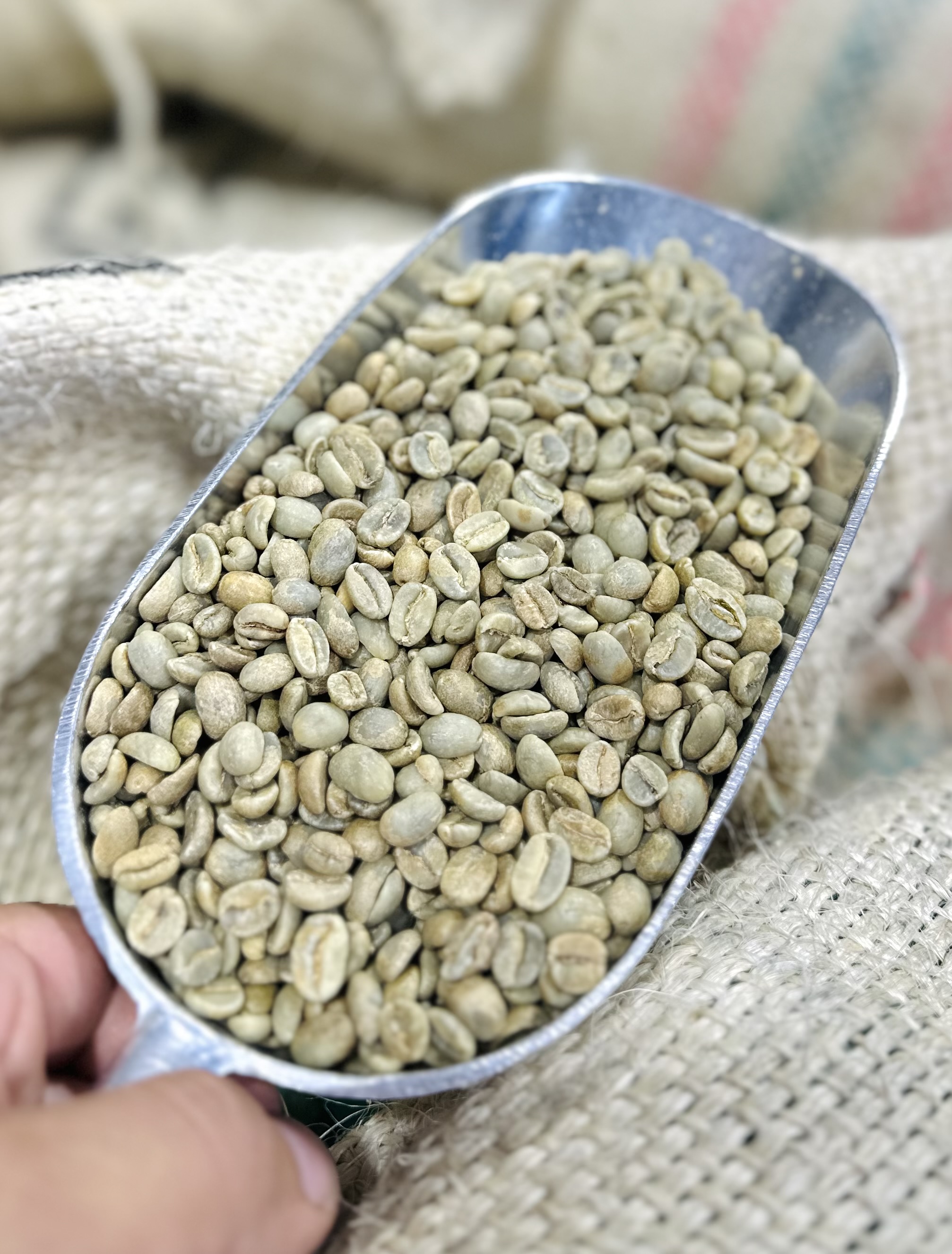 🌱☕Interested in Green Coffee?