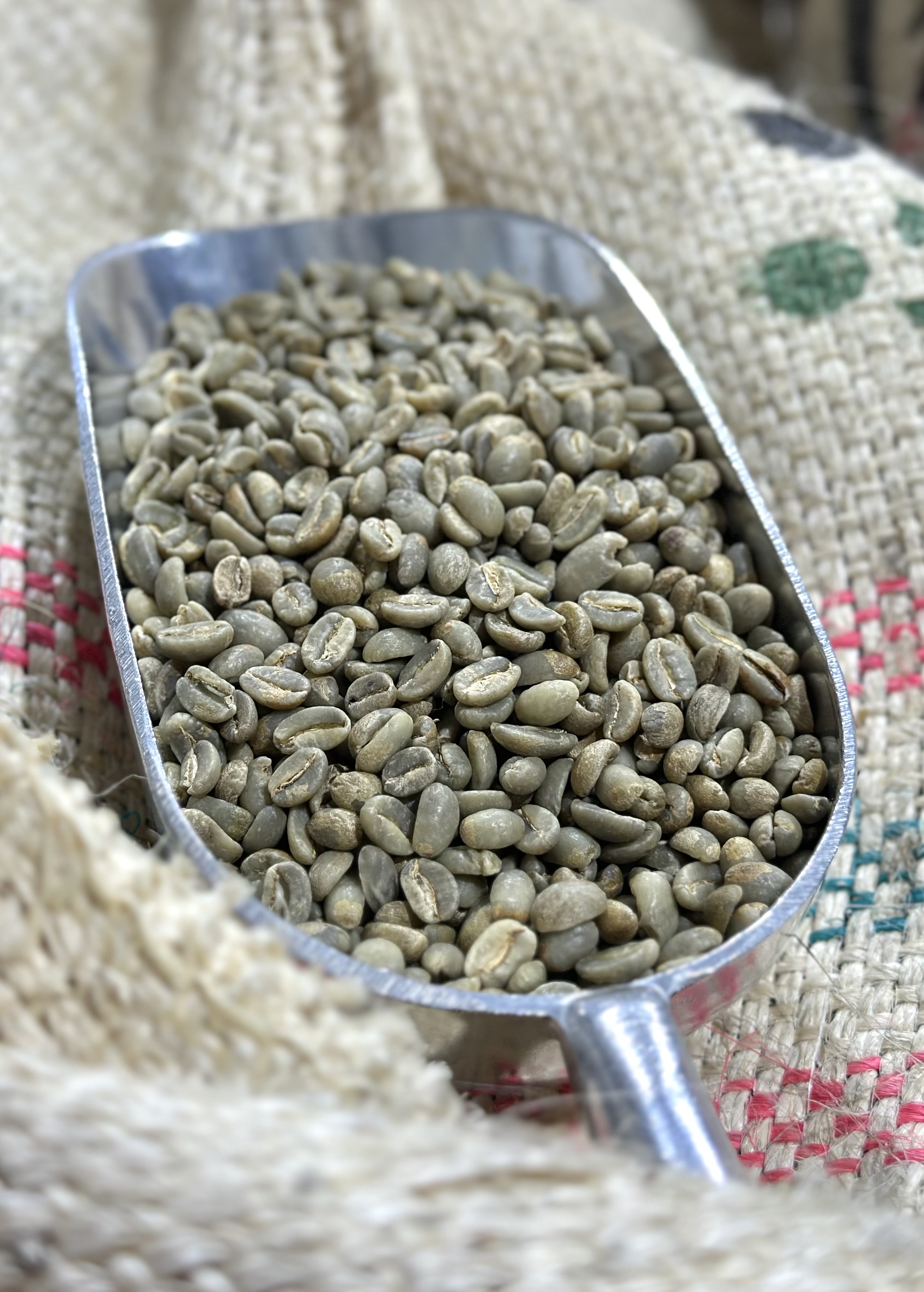 🌱☕Interested in Green Coffee?