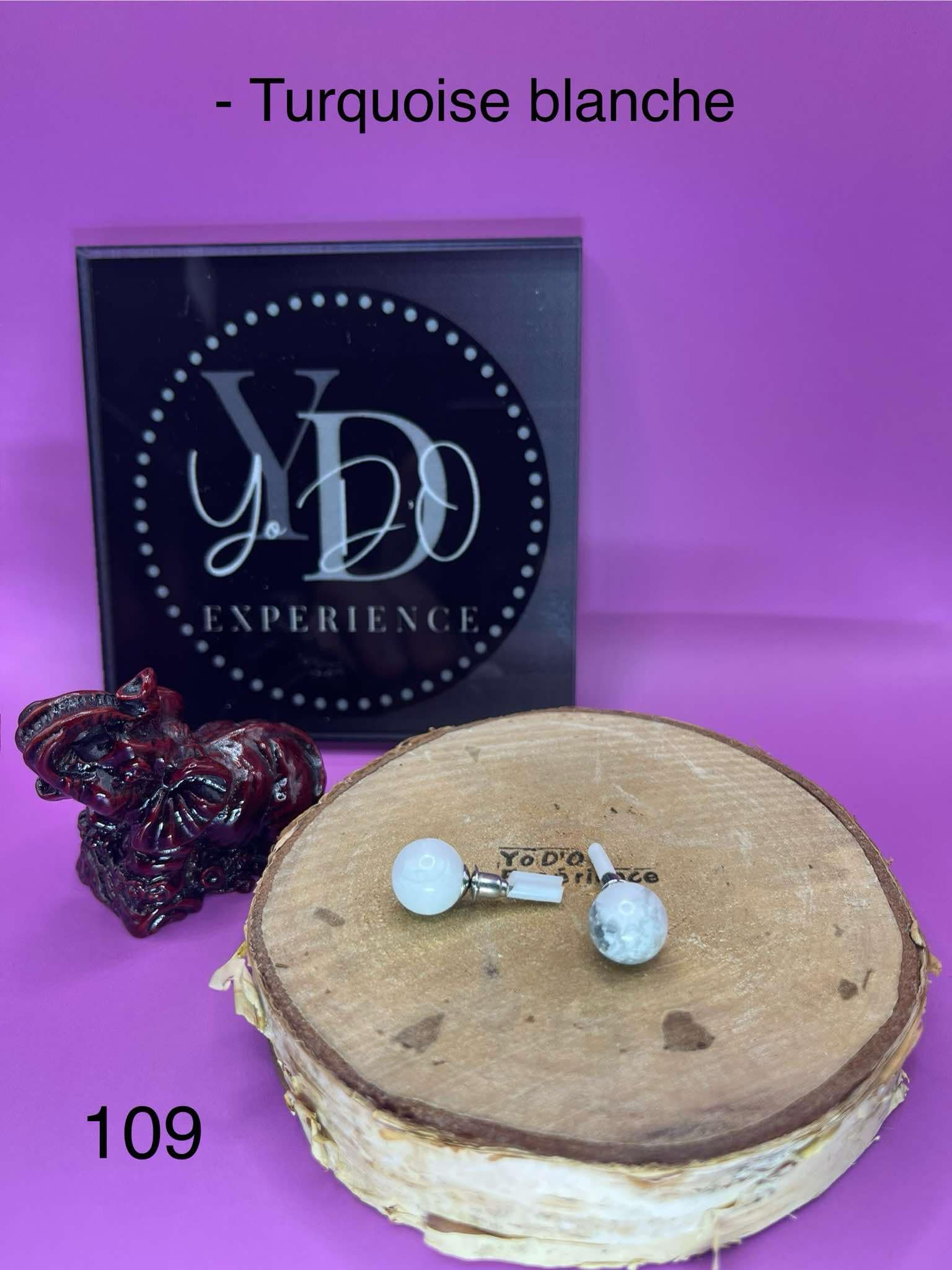 Boucles d'oreilles en turquoise blanche (109)