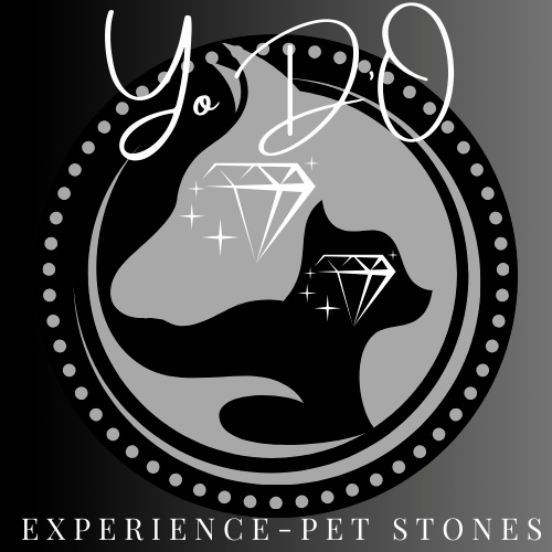 Pendentif pour chien en turquoise et lave (1)