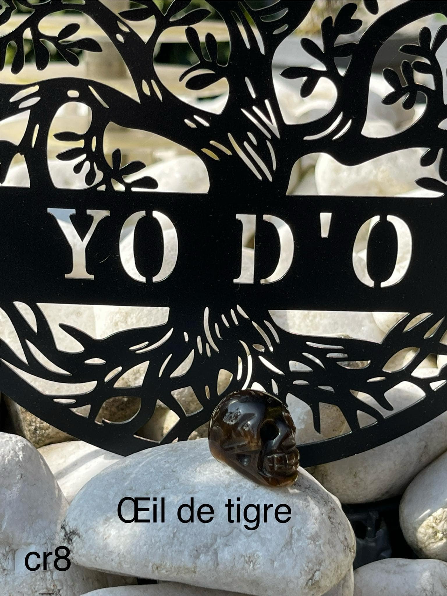 Crâne en Œil de tigre (cr8)