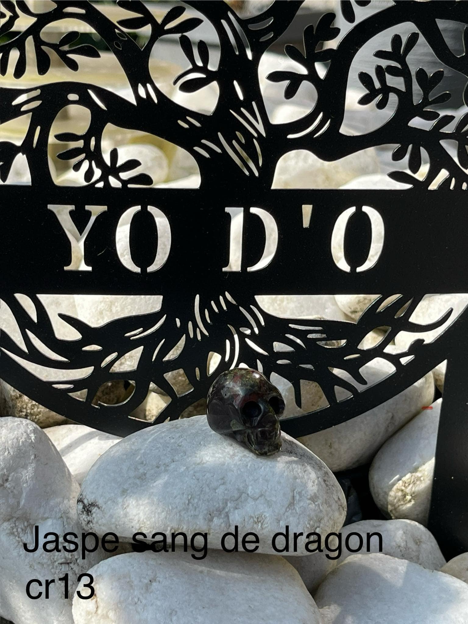 crâne en Jaspe de sang de dragon (cr13)