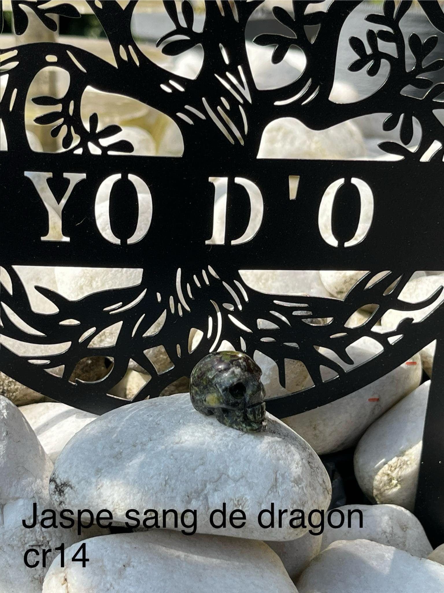 Crâne en Jaspe sang de dragon (cr14)