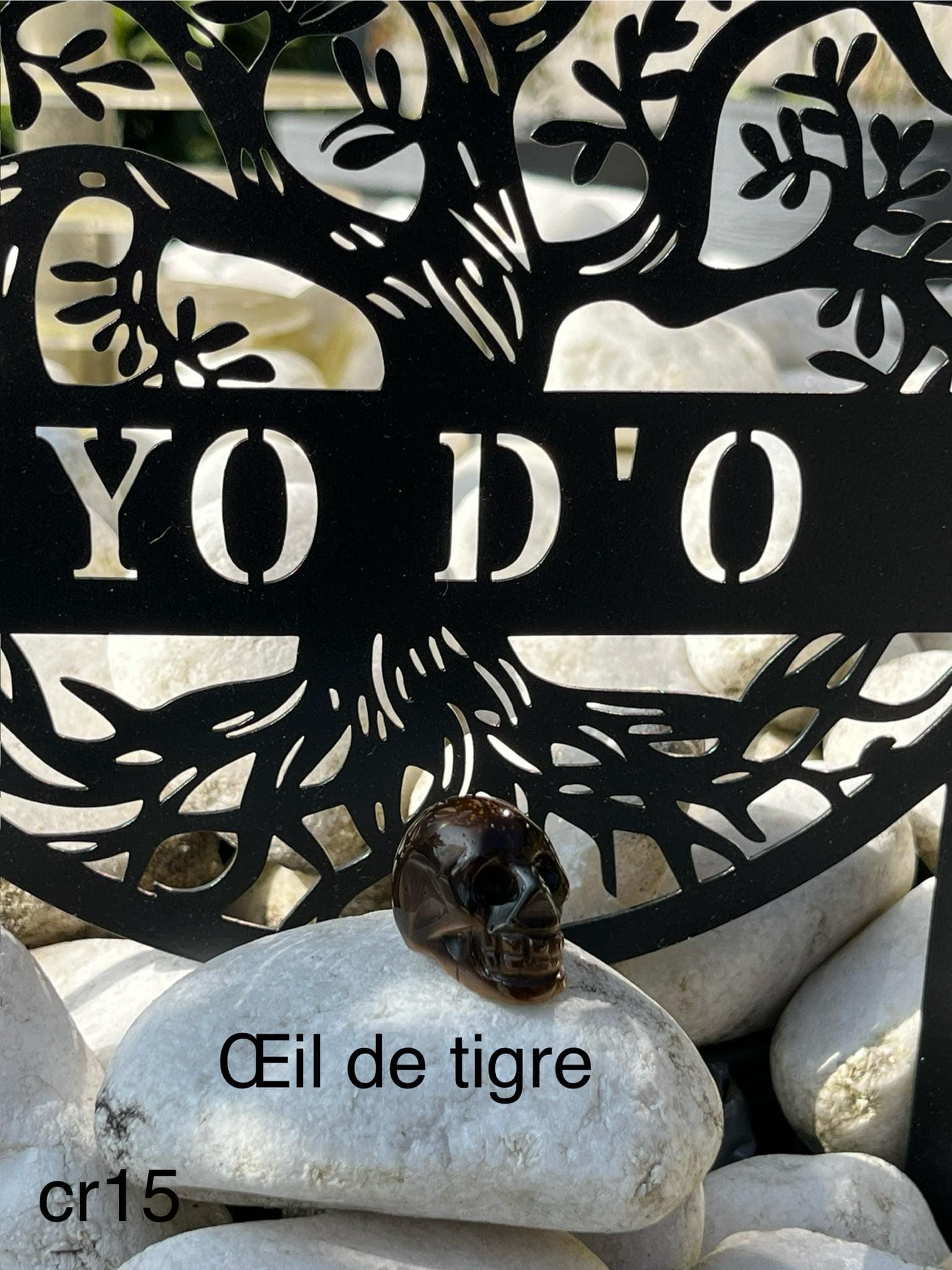  crâne en Œil de tigre (cr15)