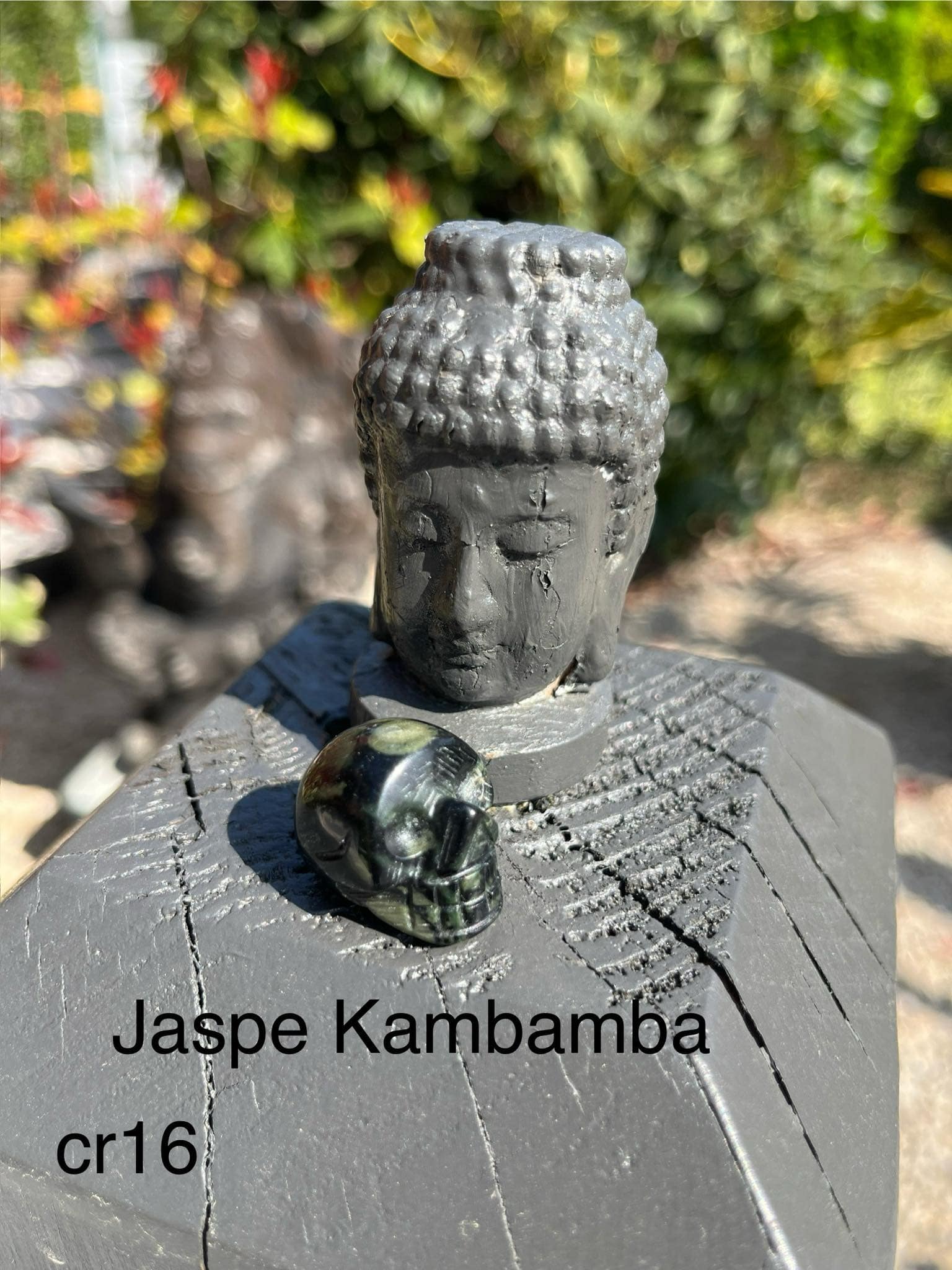 crâne en jaspe kambamba (cr16)