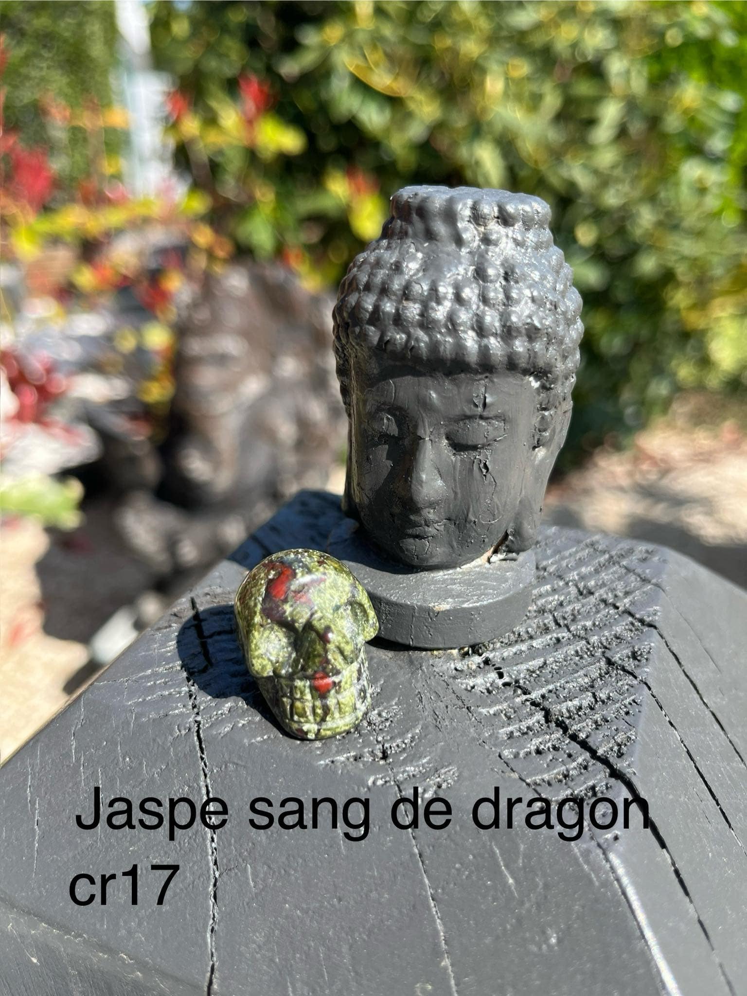 crâne en Jaspe sang de dragon (cr17)