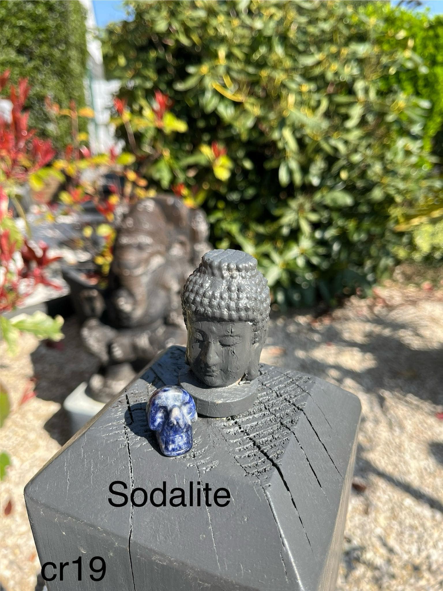 crâne en sodalite (cr19)