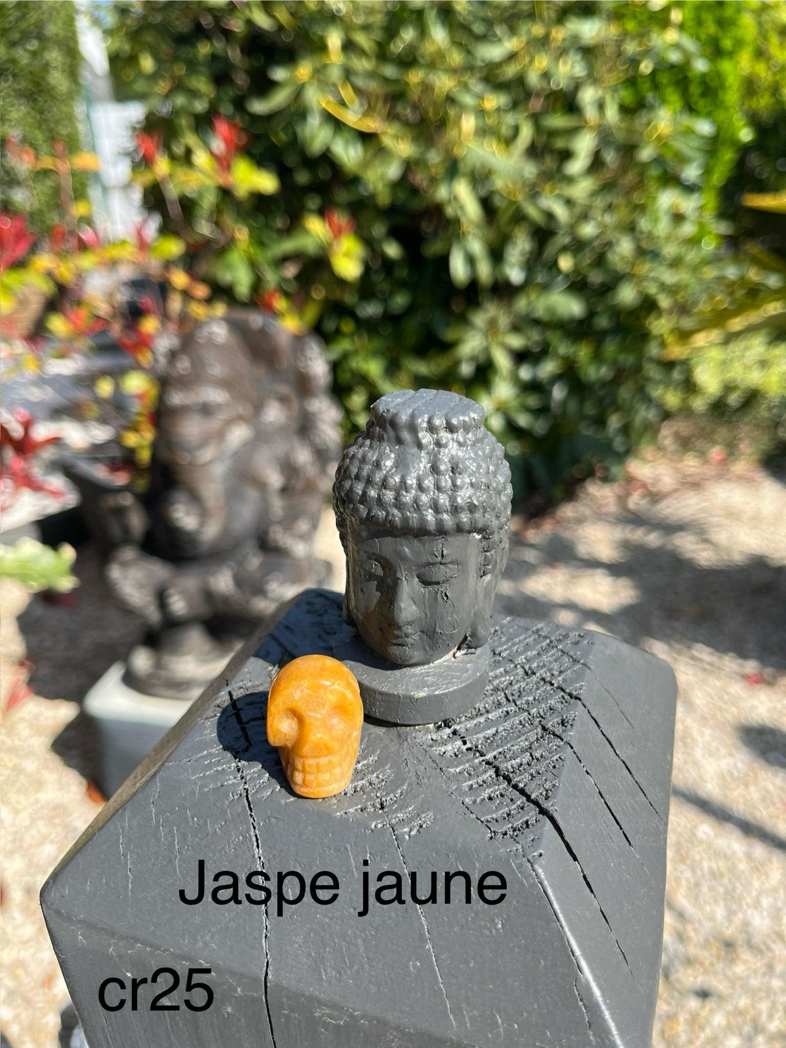 crâne en jaspe jaune (cr25)