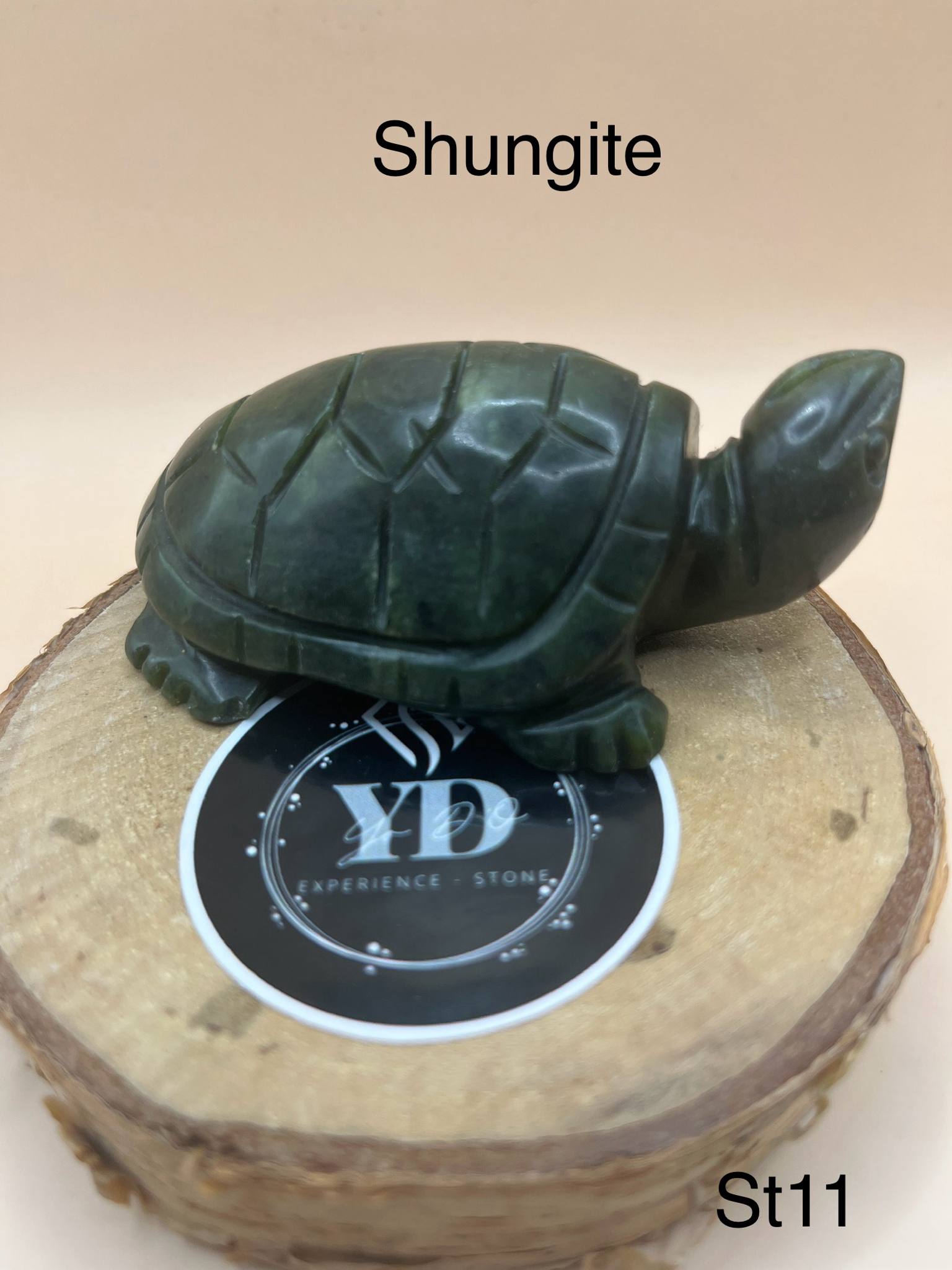 Sculptures de tortues en Shungite (st11)