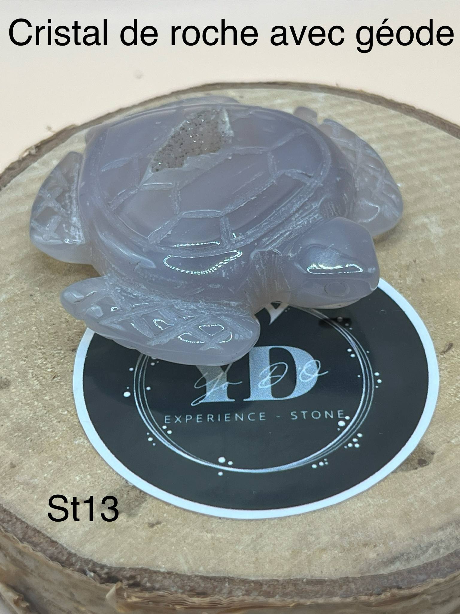 Tortue en cristal de roche clair avec géode (st13)