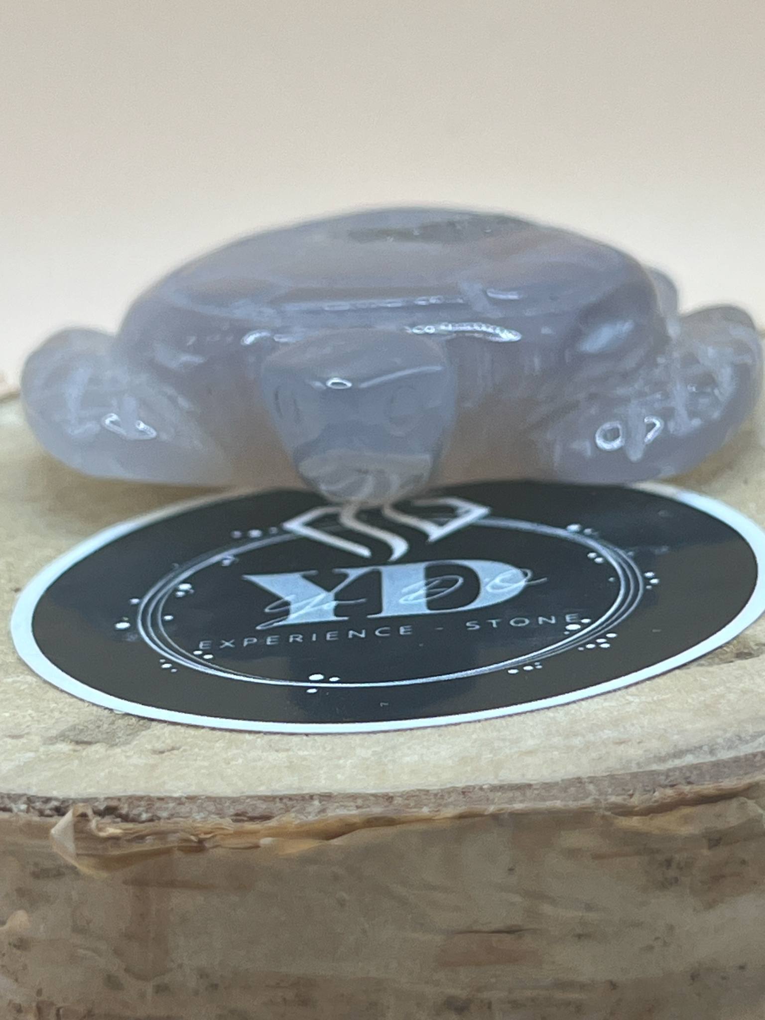 Tortue en cristal de roche clair avec géode (st13)