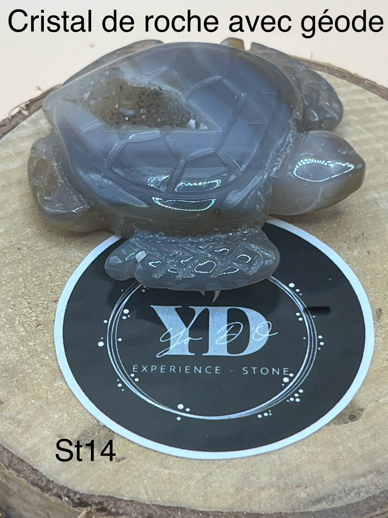 Tortue en cristal de roche foncé avec géode (st14)