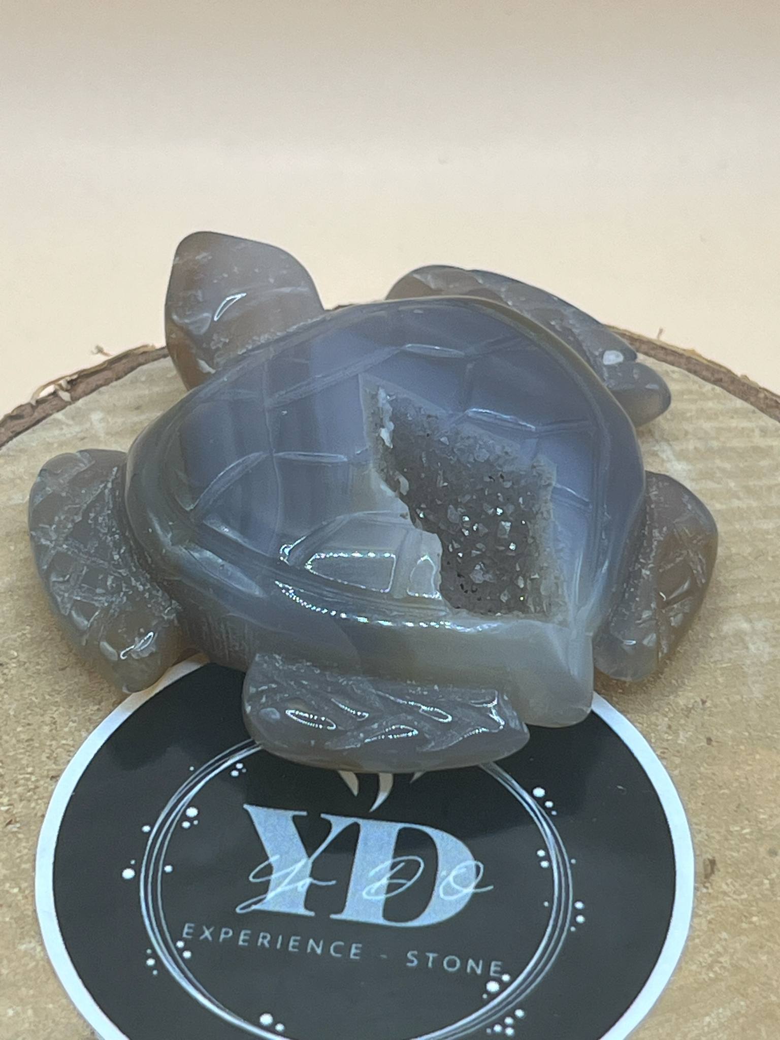 Tortue en cristal de roche foncé avec géode (st14)