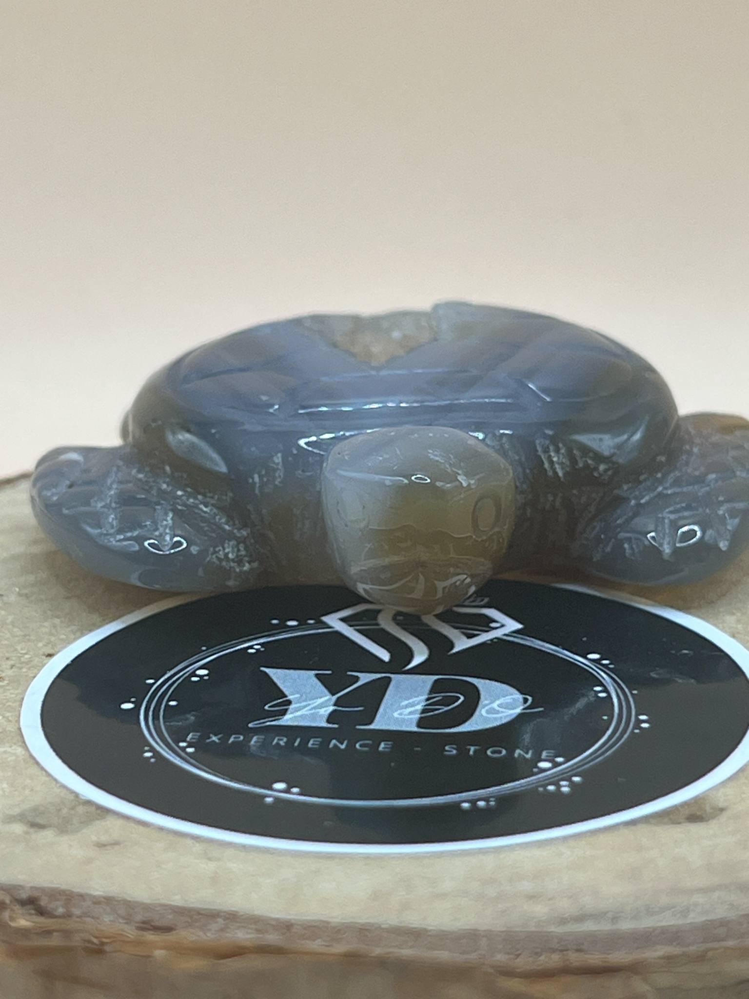 Tortue en cristal de roche foncé avec géode (st14)