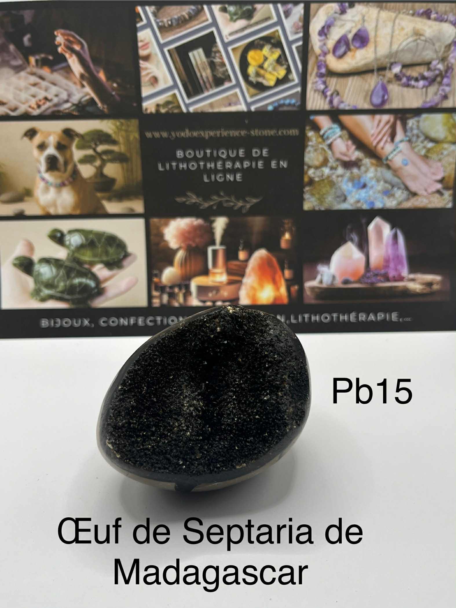 Oeuf de Septaria sauvage de Madagascar (Pb15)