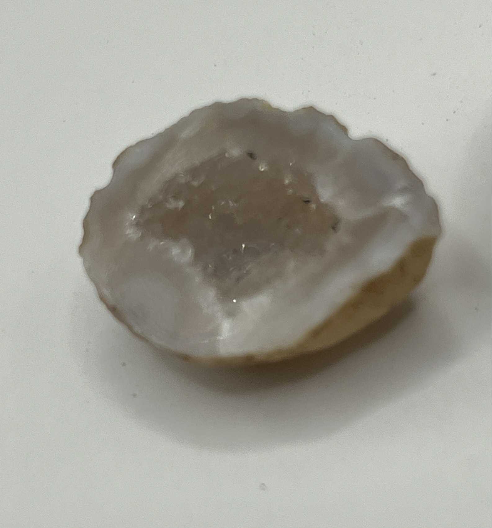 3 Géodes "grotte naturelle" cristal de roche (Pb12)