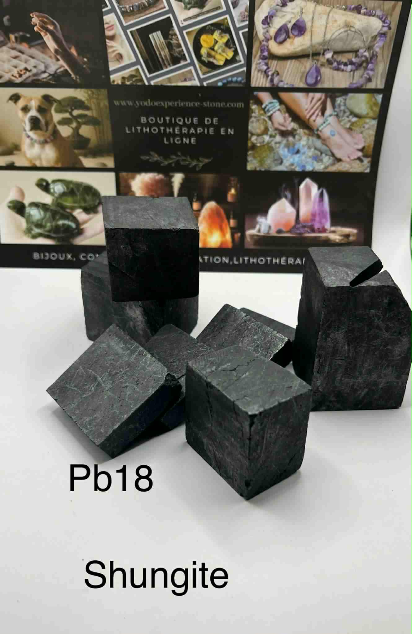 Shungite naturelle (Pb18)