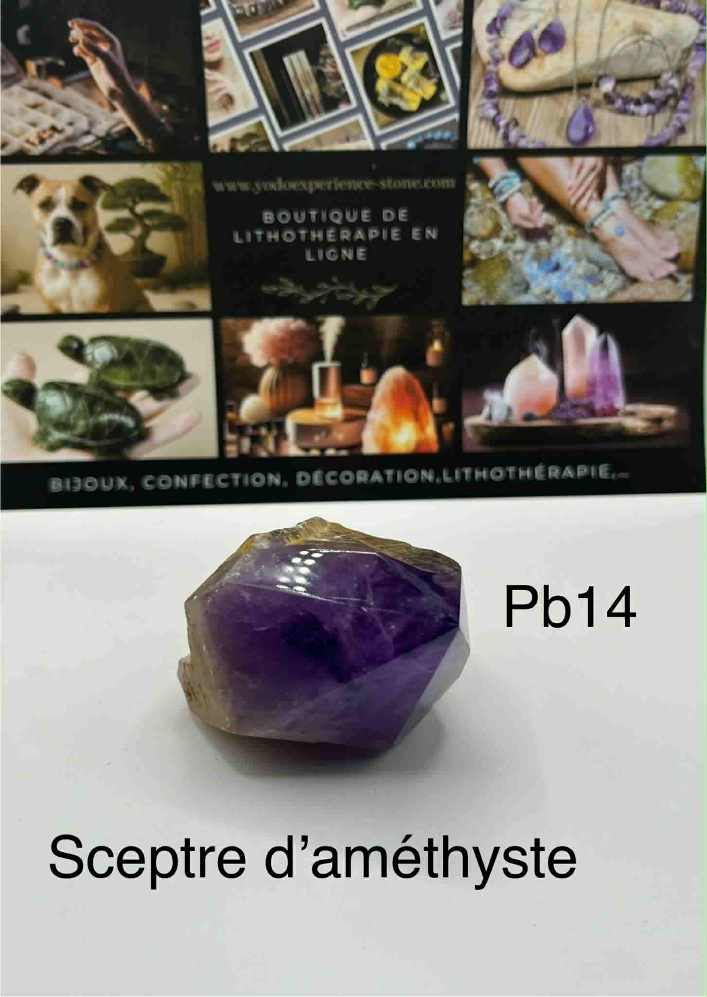 Sceptre d'Améthyste de 155gr (Pb14-155)