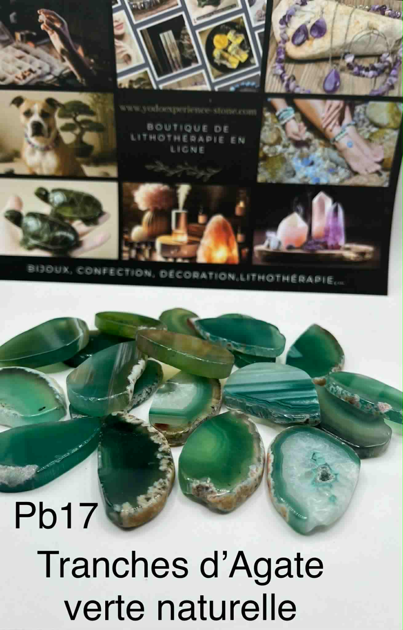 Tranches d'Agate vertes polies (Pb17)