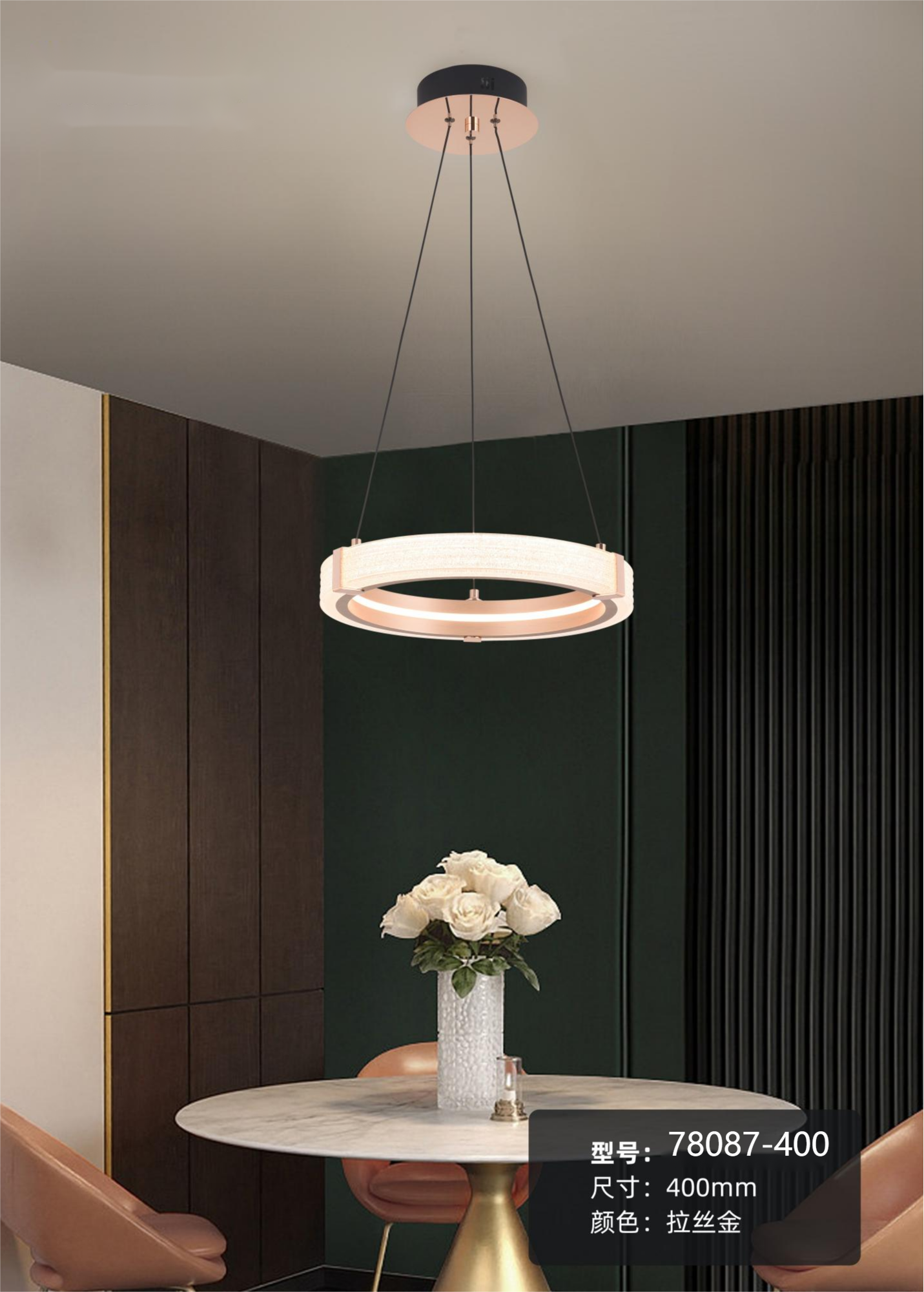 Modern Hanging Pendant Light