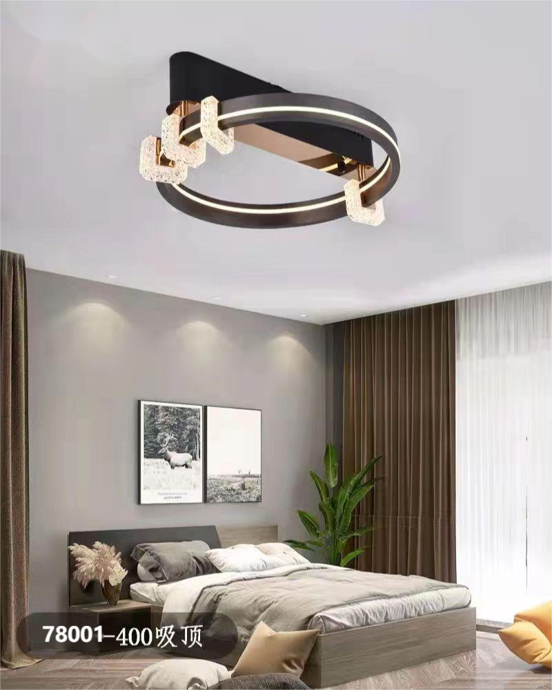 Modern LED Ceiling Light